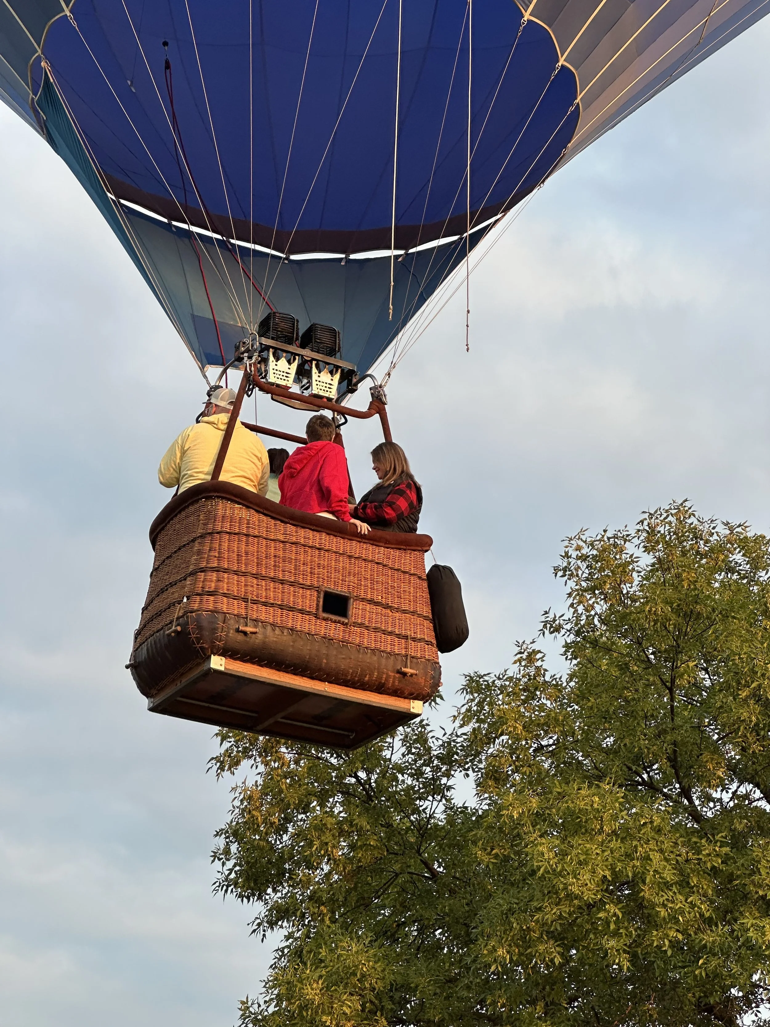People in a hot air balloon basket flying above trees during daytime.