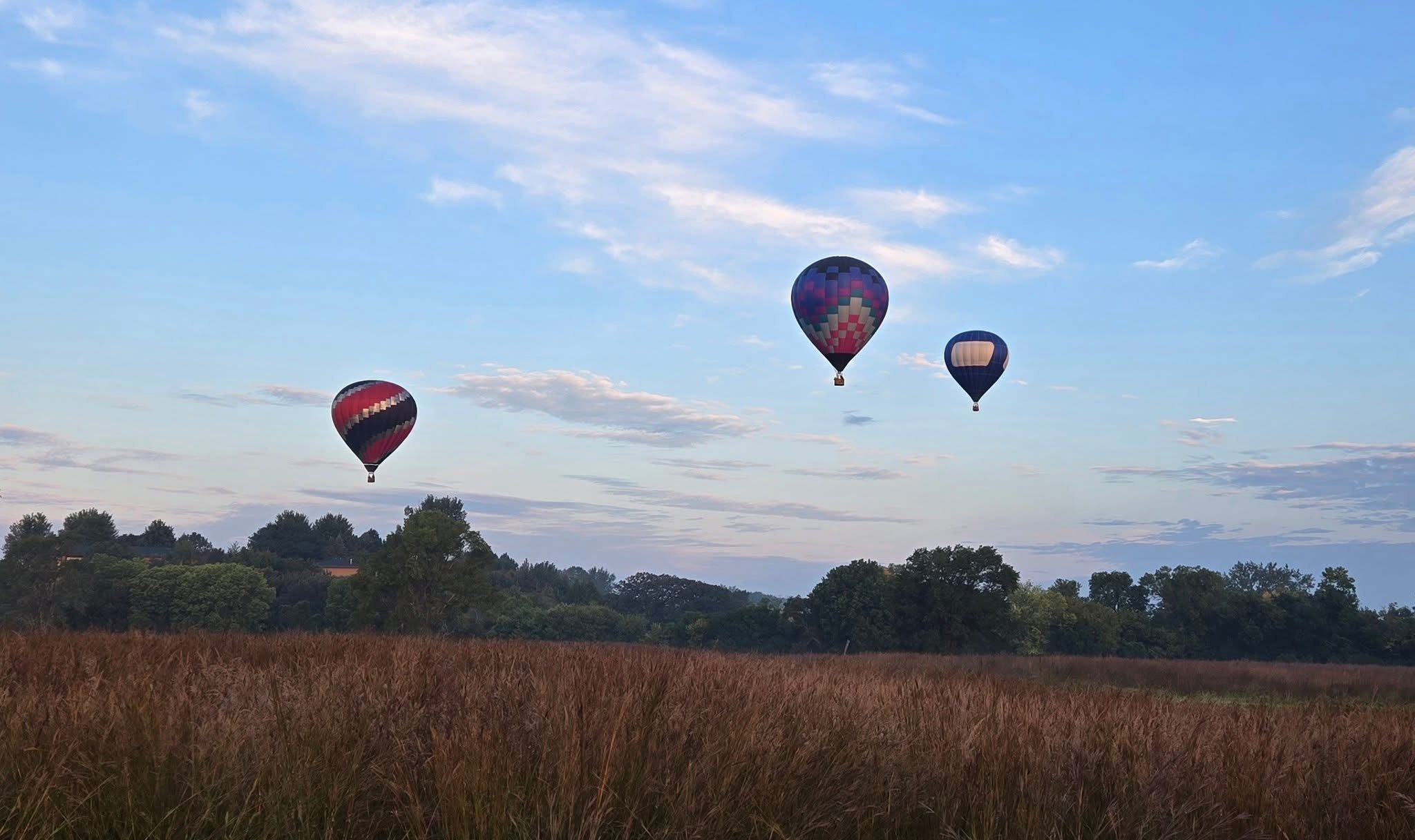 Three colorful hot air balloons floating in the sky above a grassy field with trees in the background during daytime.