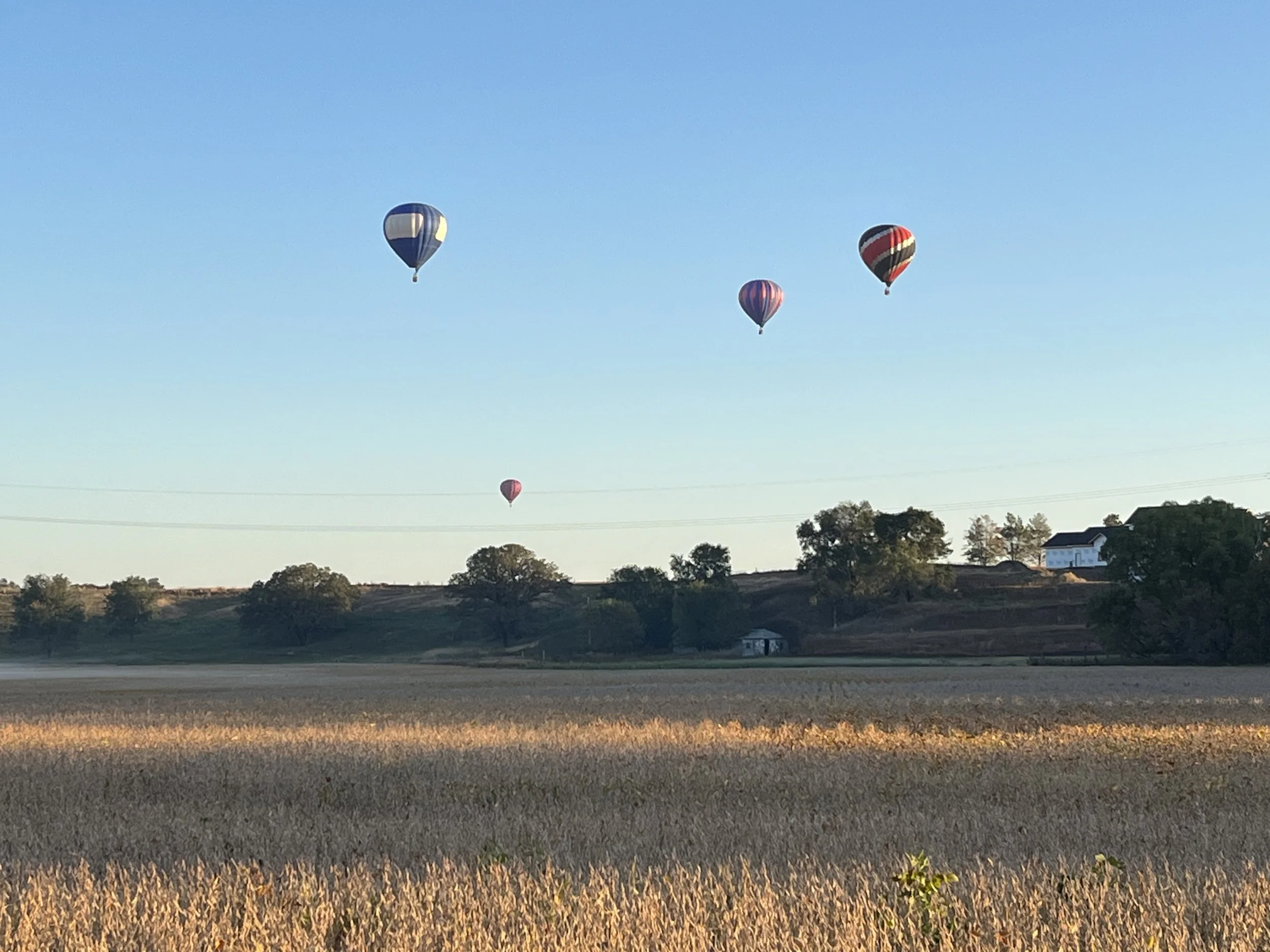 Several hot air balloons floating in a clear blue sky over a rural landscape with trees, rolling hills, and a field.