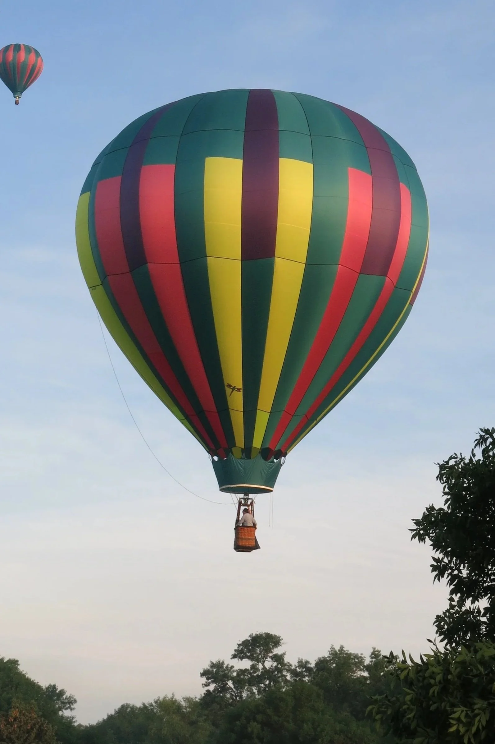 Colorful hot air balloon floating in the sky above a treeline during daytime.