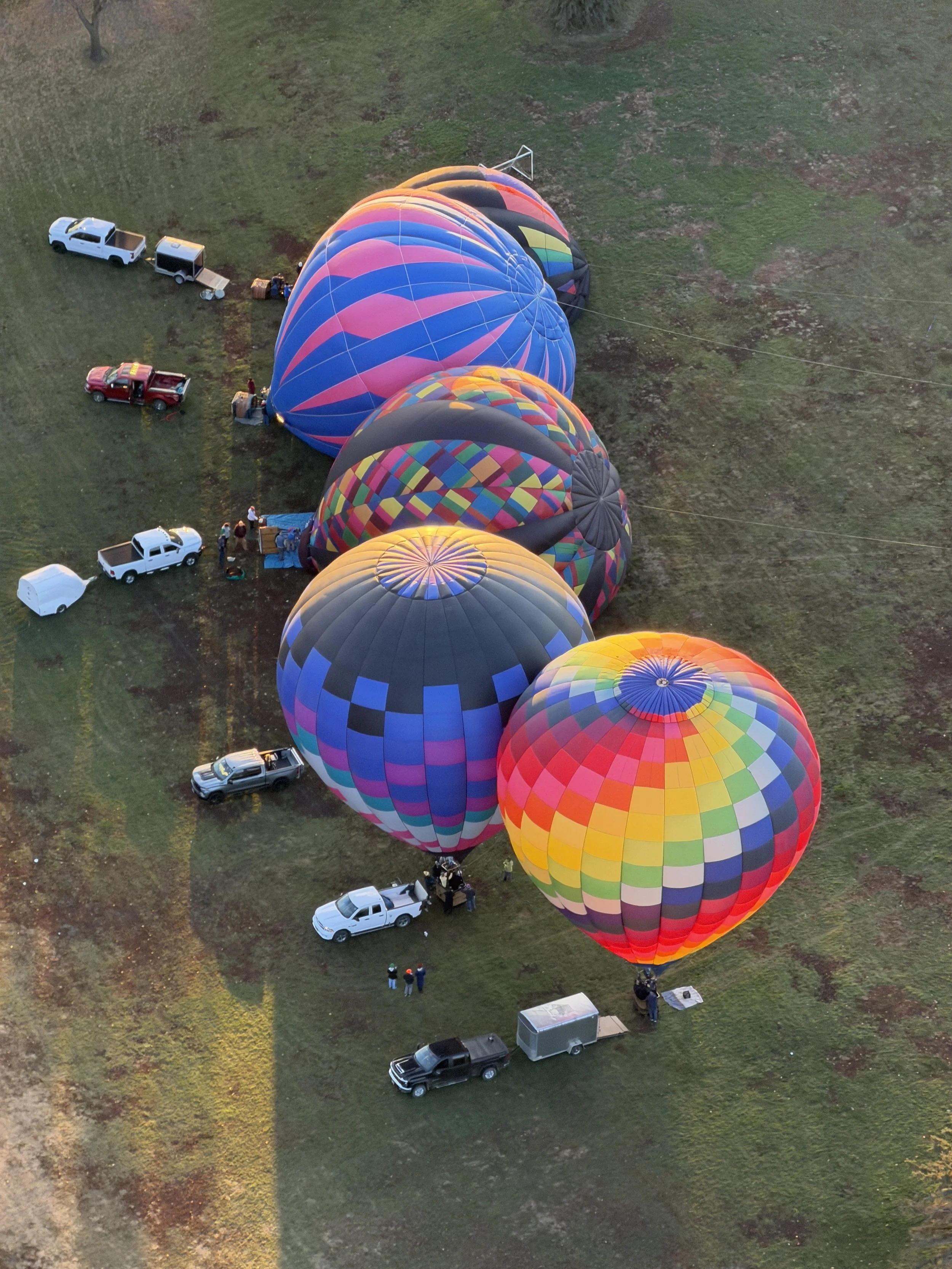 Five colorful hot air balloons being prepared for flight on a grassy field with several trucks and people around.