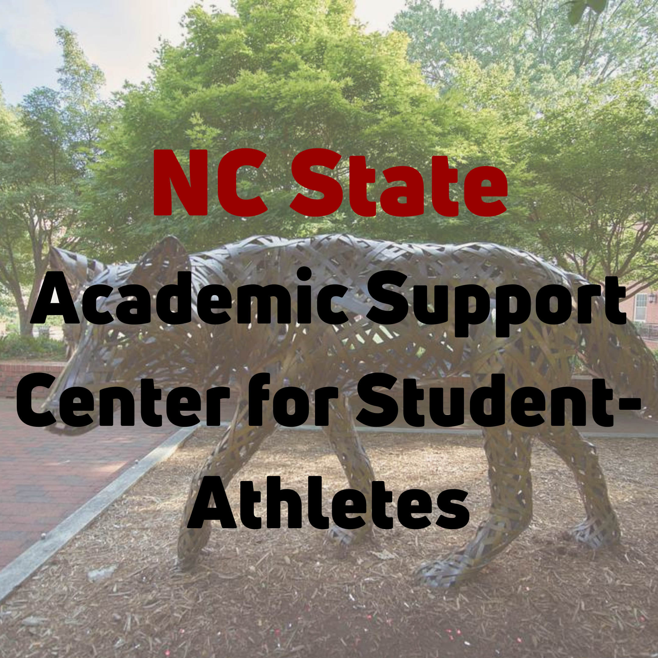 Academic Support Center for Student-Athletes
