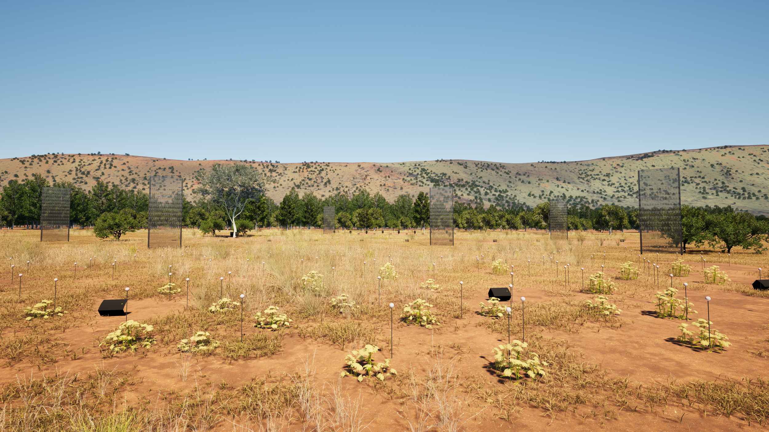 Parrtjima_Day_Lighs Off.png