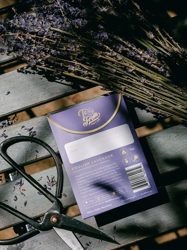 Lavender_To&FrontSeedCo-3.webp