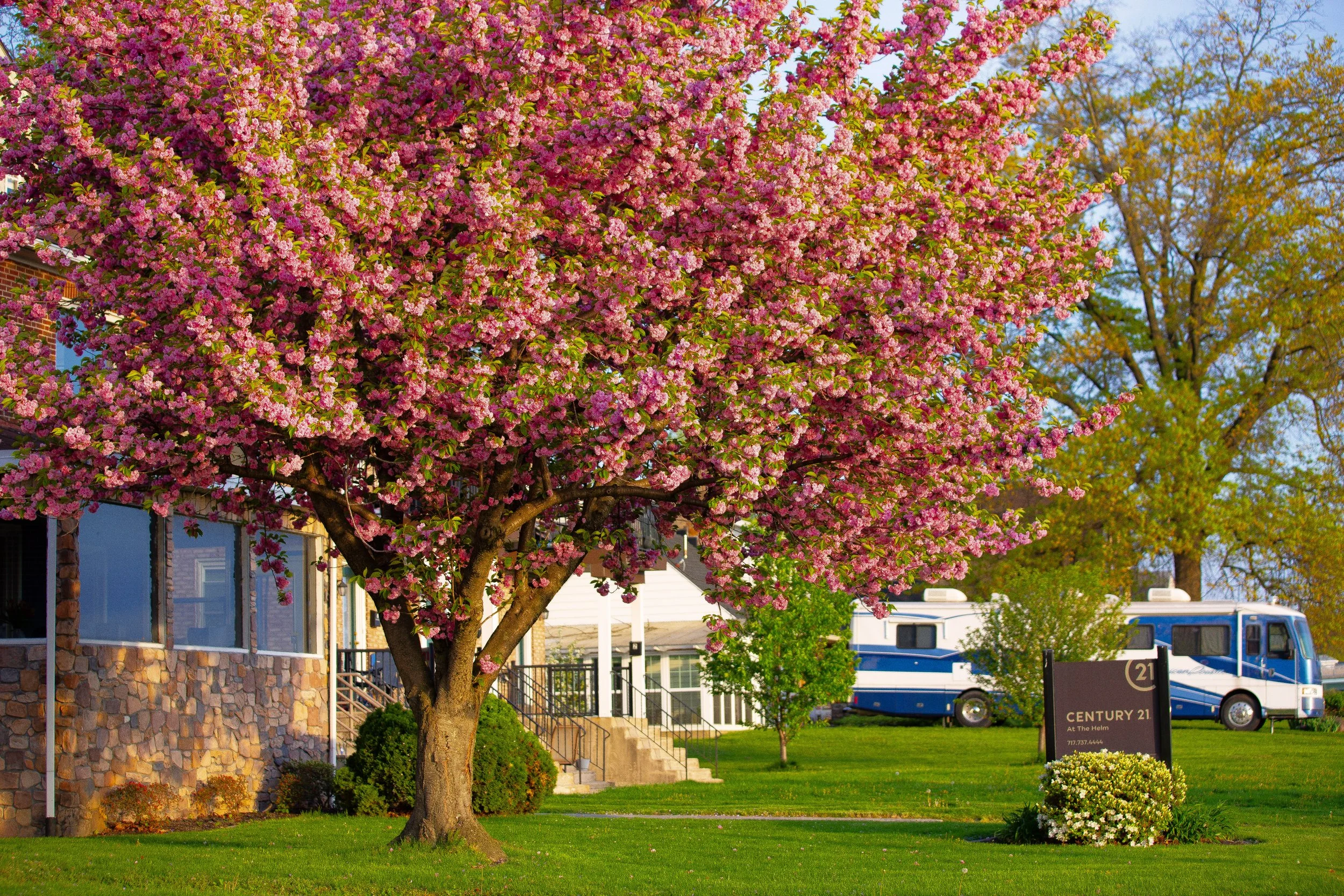 Artisan Market @ Strock's Farm