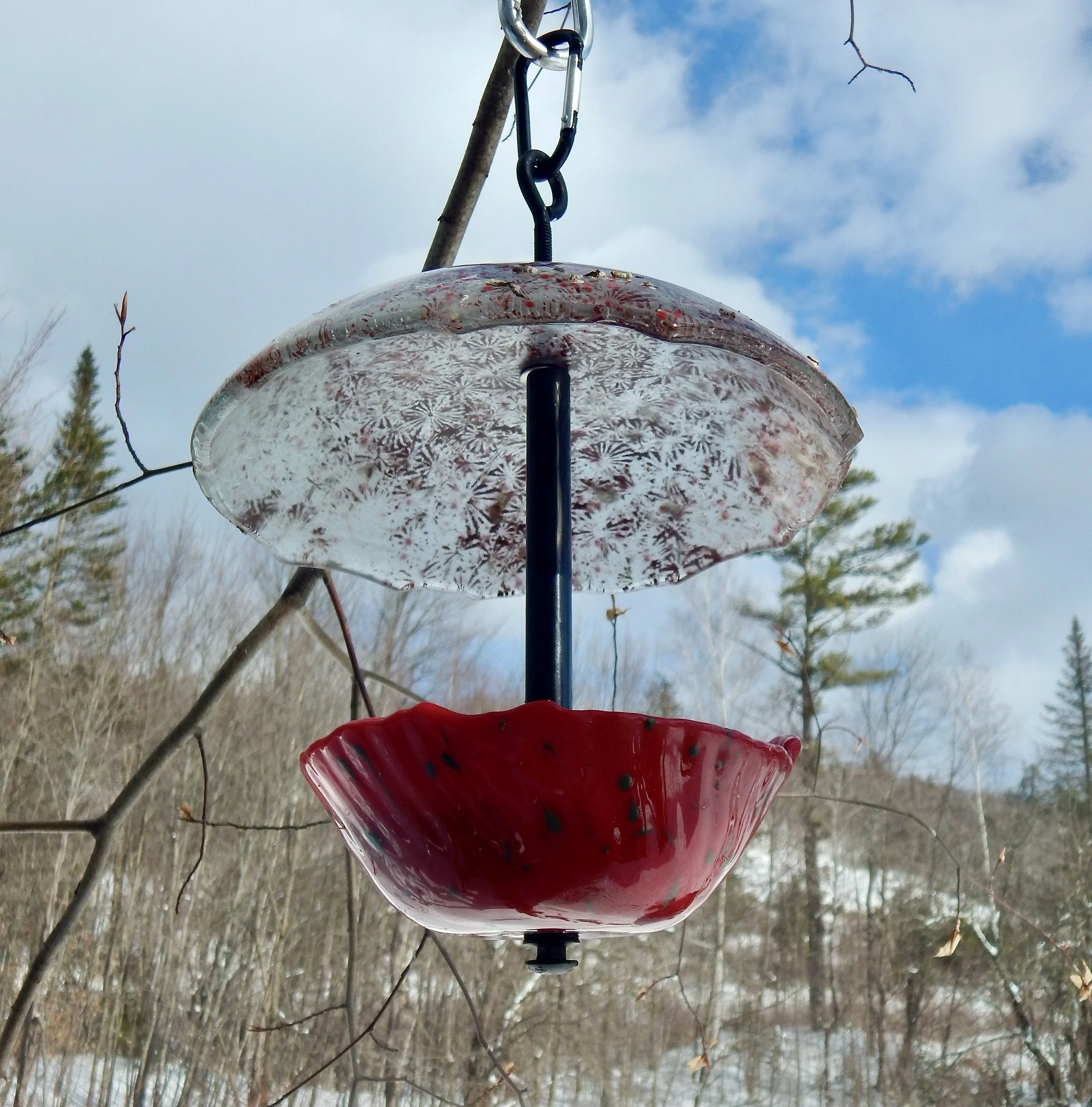 DSCN8829.JPG