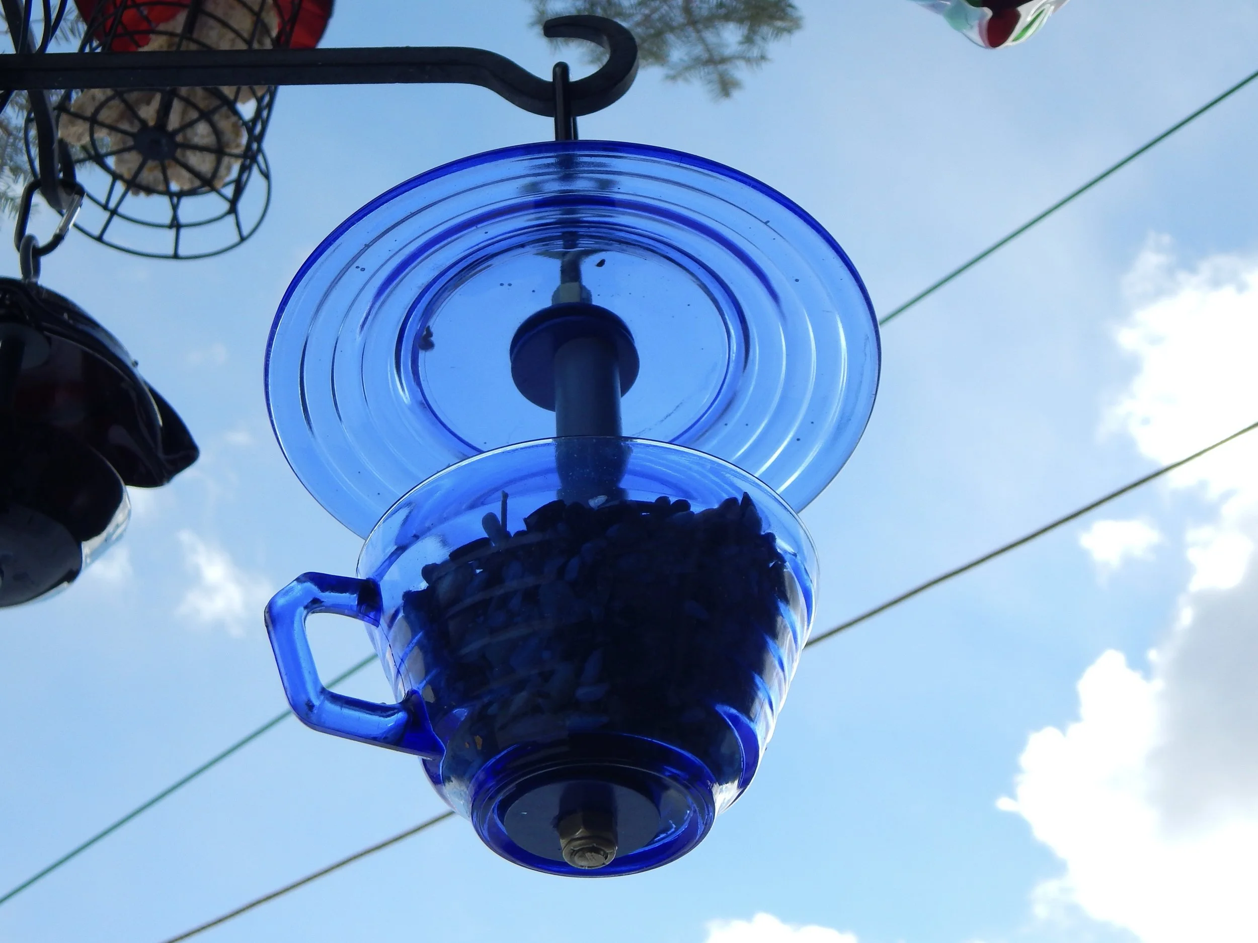 DSCN8816.JPG