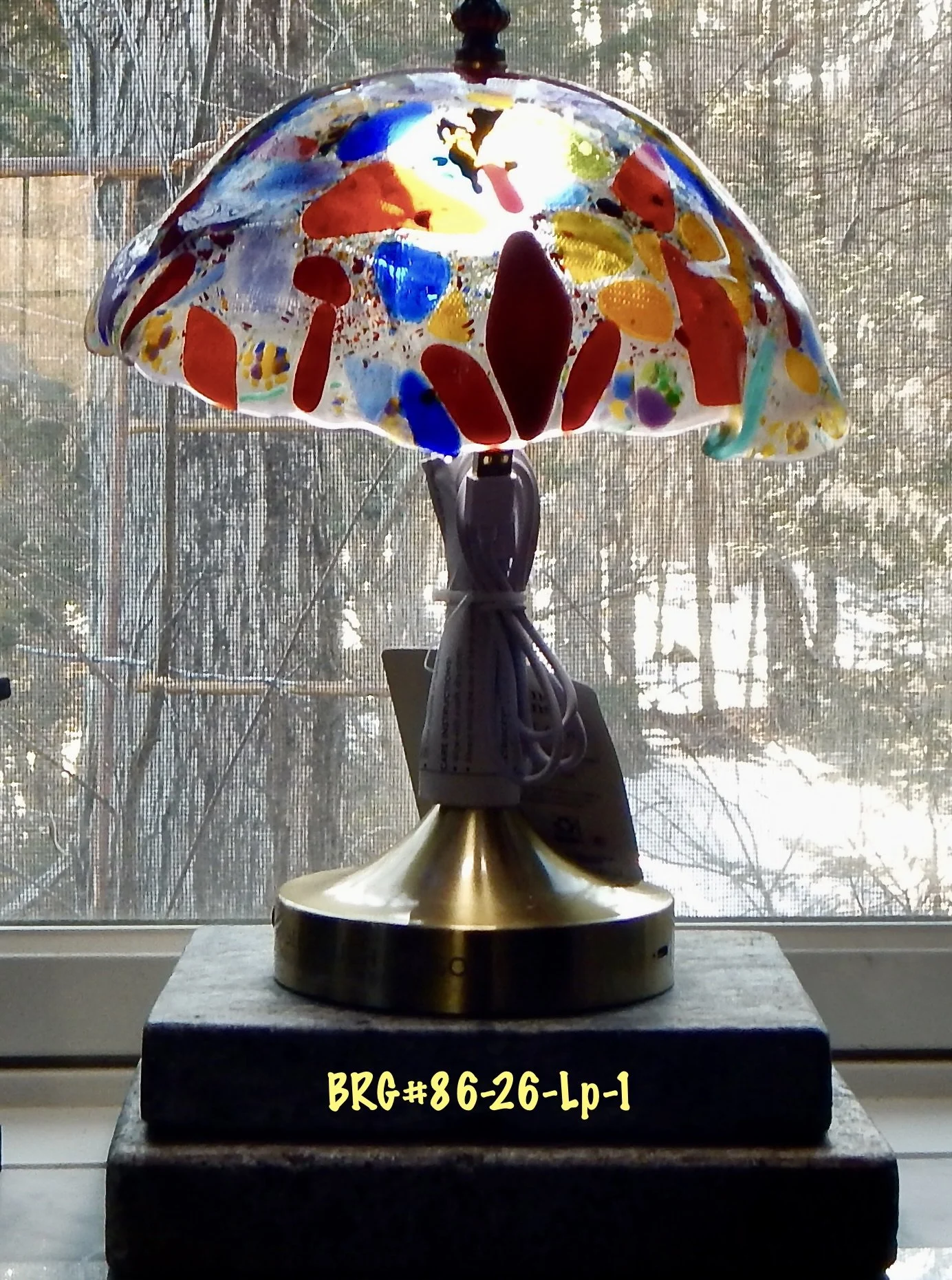 DSCN9094.JPG