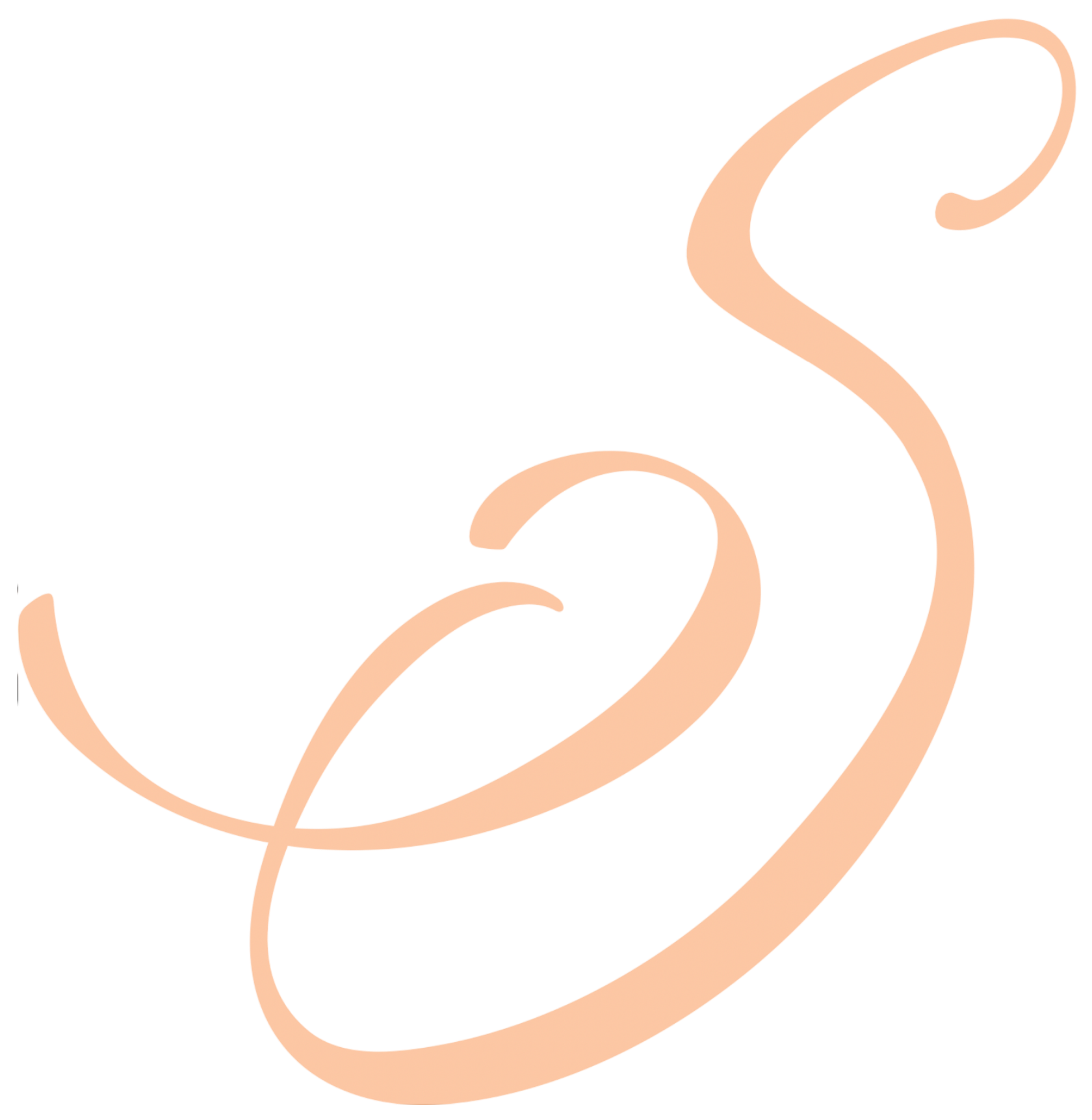 Stylized, cursive letter S in beige color on a black background.