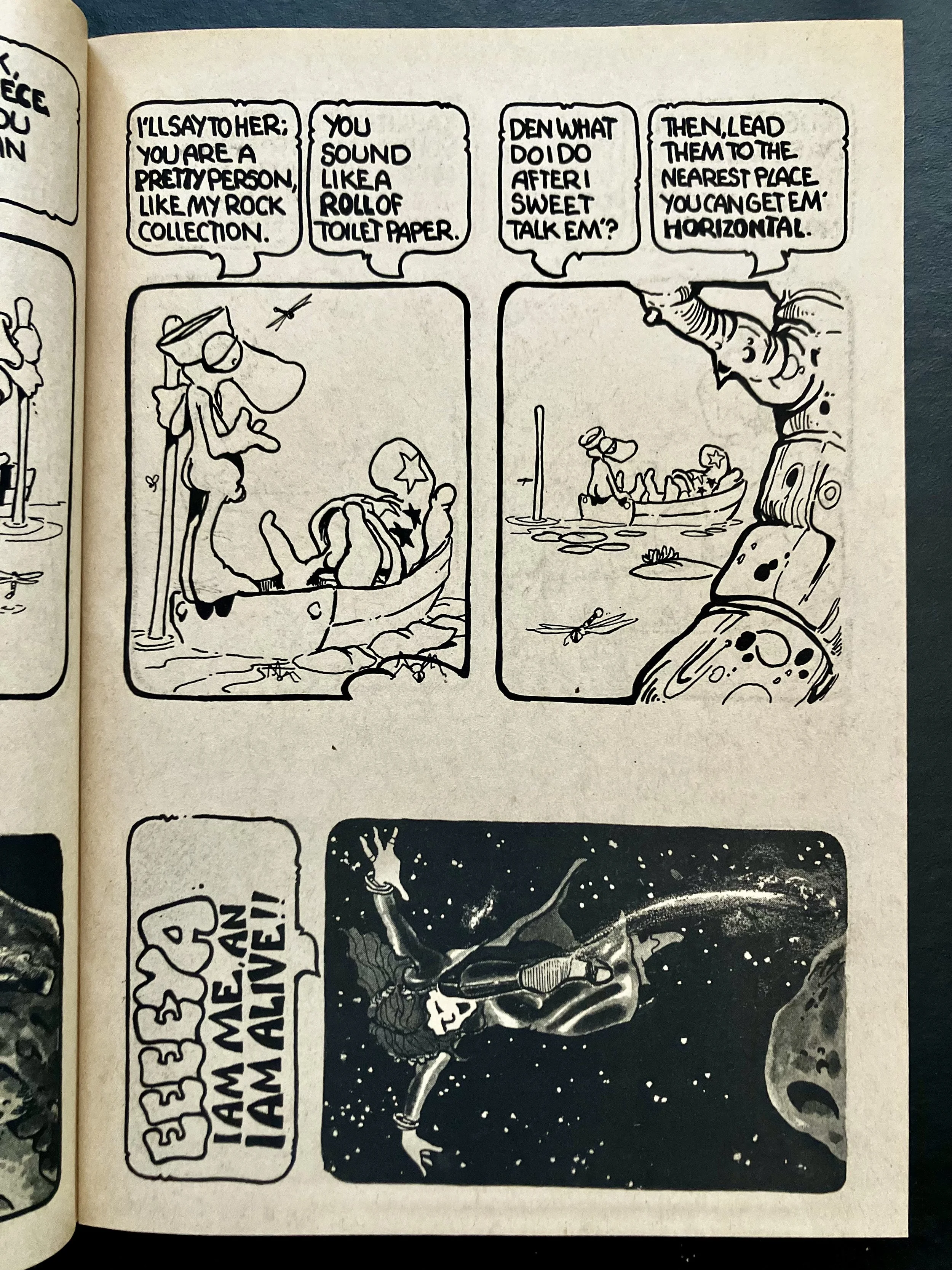 Vaugh Bode Cheech Wizard Schizophrenia 1973 2.jpg