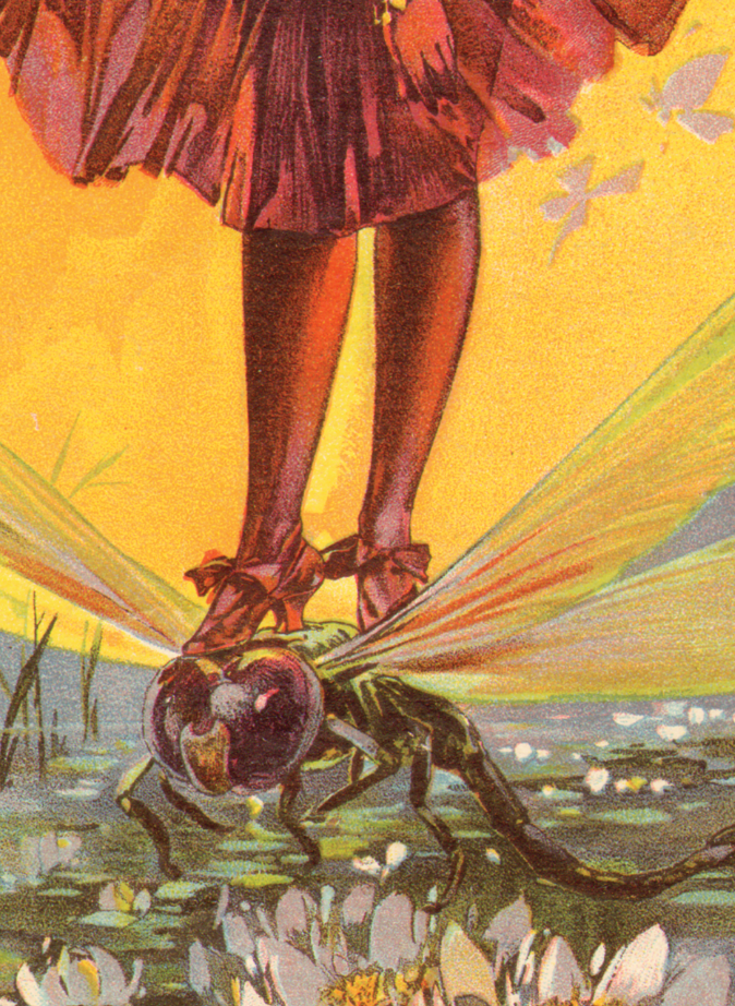 Dan Smith1896 Judge cover art 2 detail.png