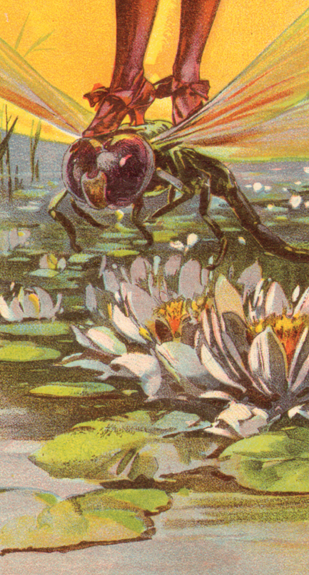 Dan Smith1896 Judge cover art 3 detail.png