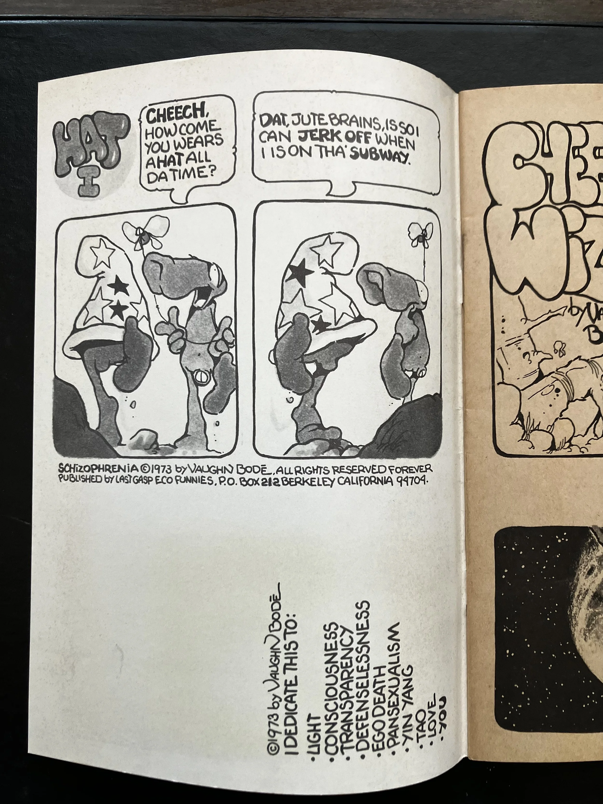 Vaugh Bode Cheech Wizard Schizophrenia 1973 4.jpg