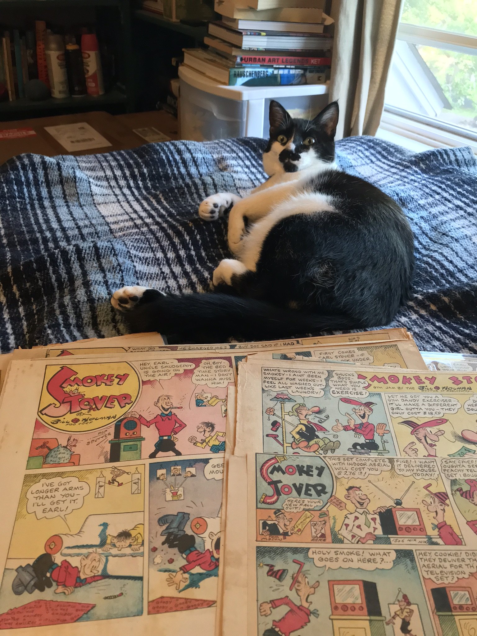 A black and white cat lying on a bed, looking at the camera with a window and bookshelf in the background. In the foreground, there are comic books featuring a character named Smokey Jover.