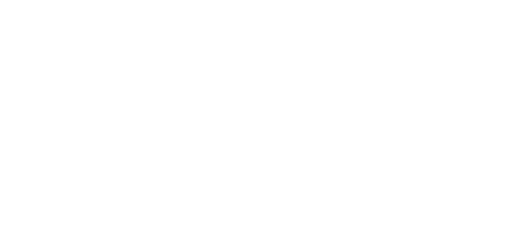 Empty white background with no visible objects or scenery.