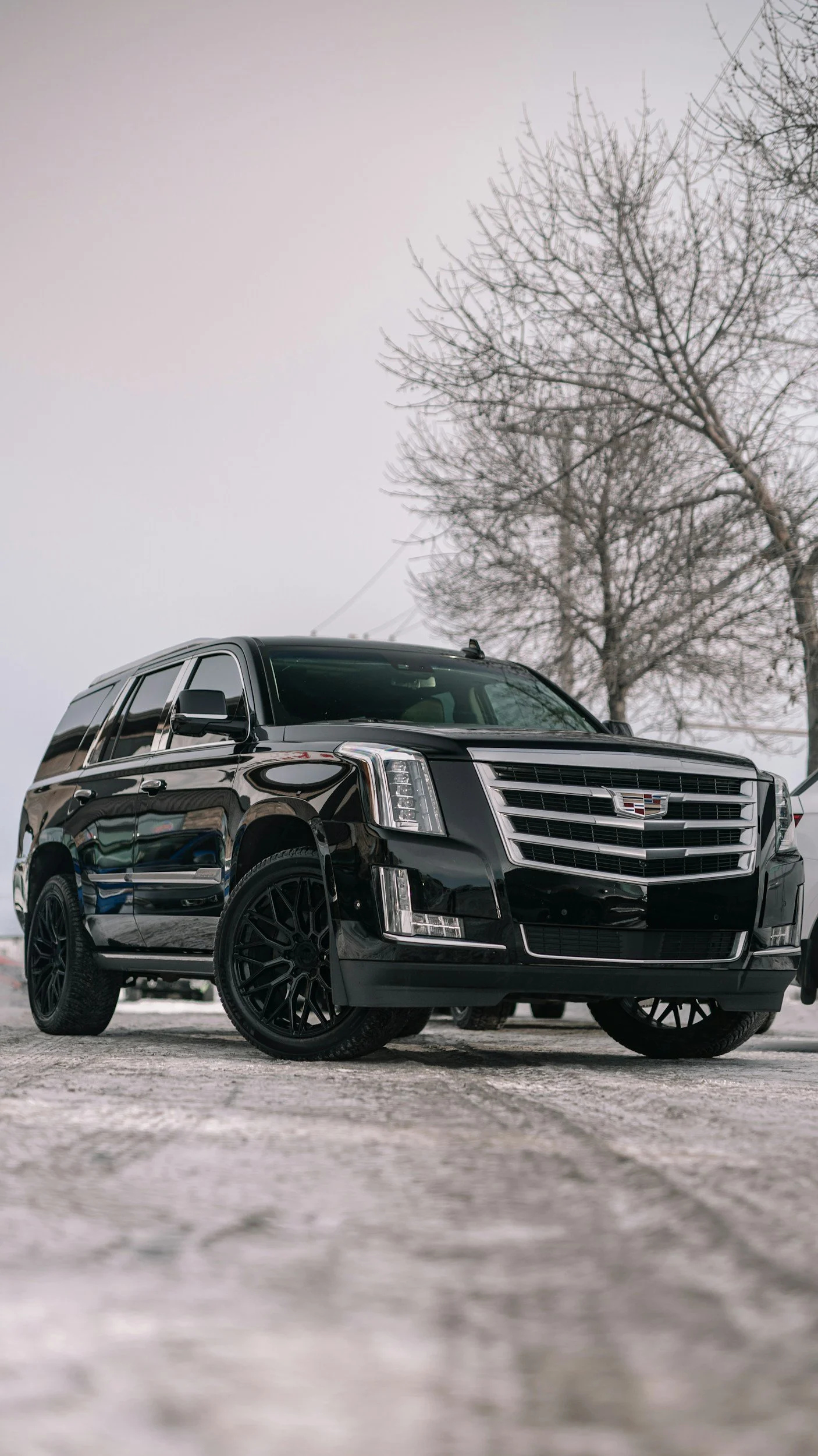A black Cadillac SUV with black rims parked on a snowy ground with trees in the background.
