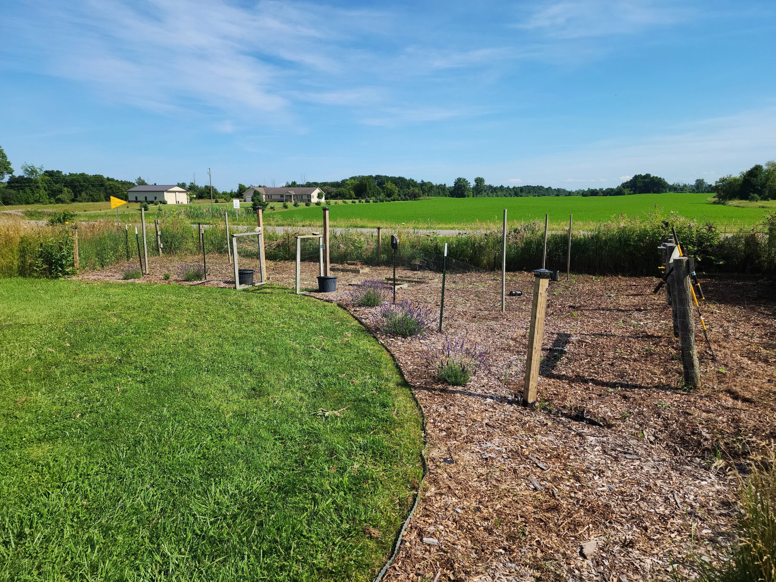 Garden after 1.jpg