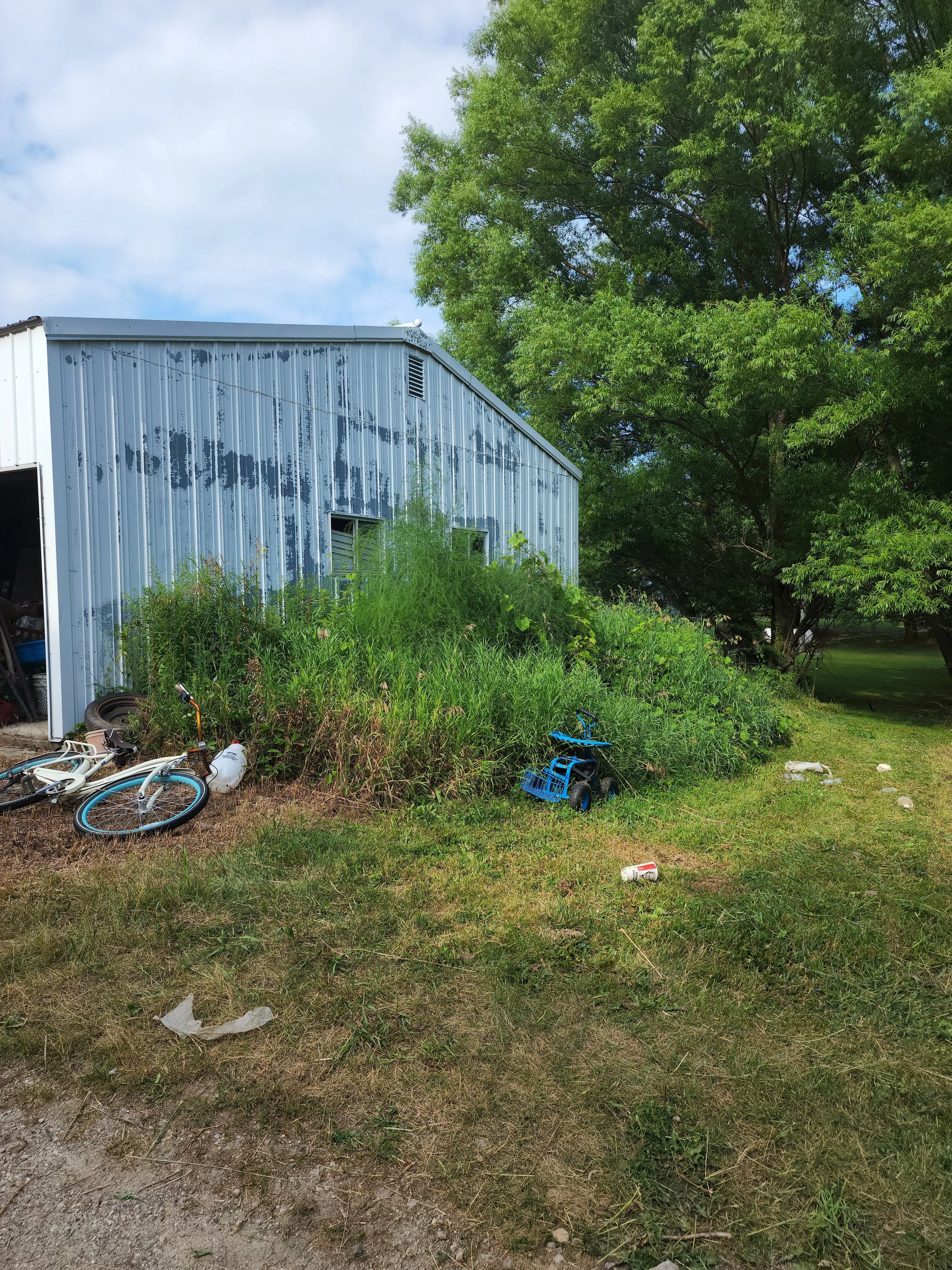 South side garage (before).jpg