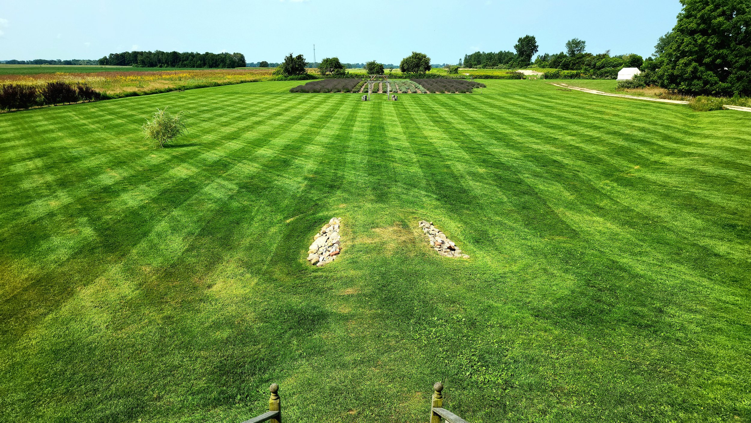 Grass cut.jpg