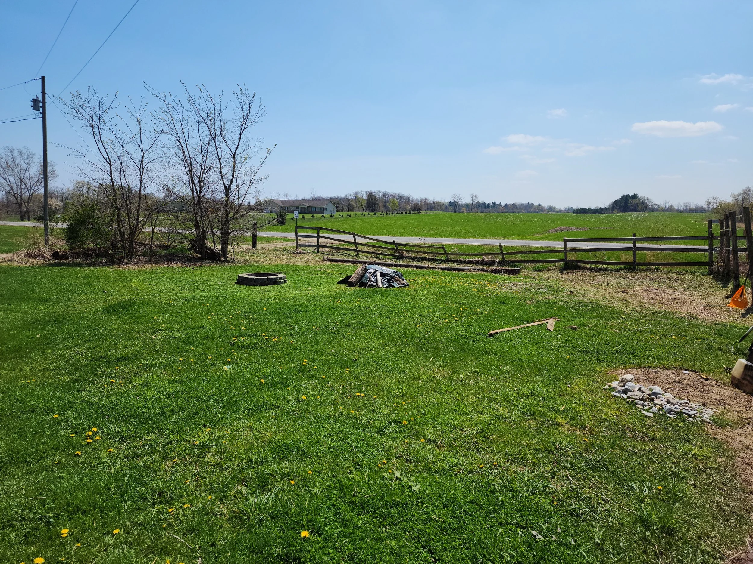 garden before 4.jpg