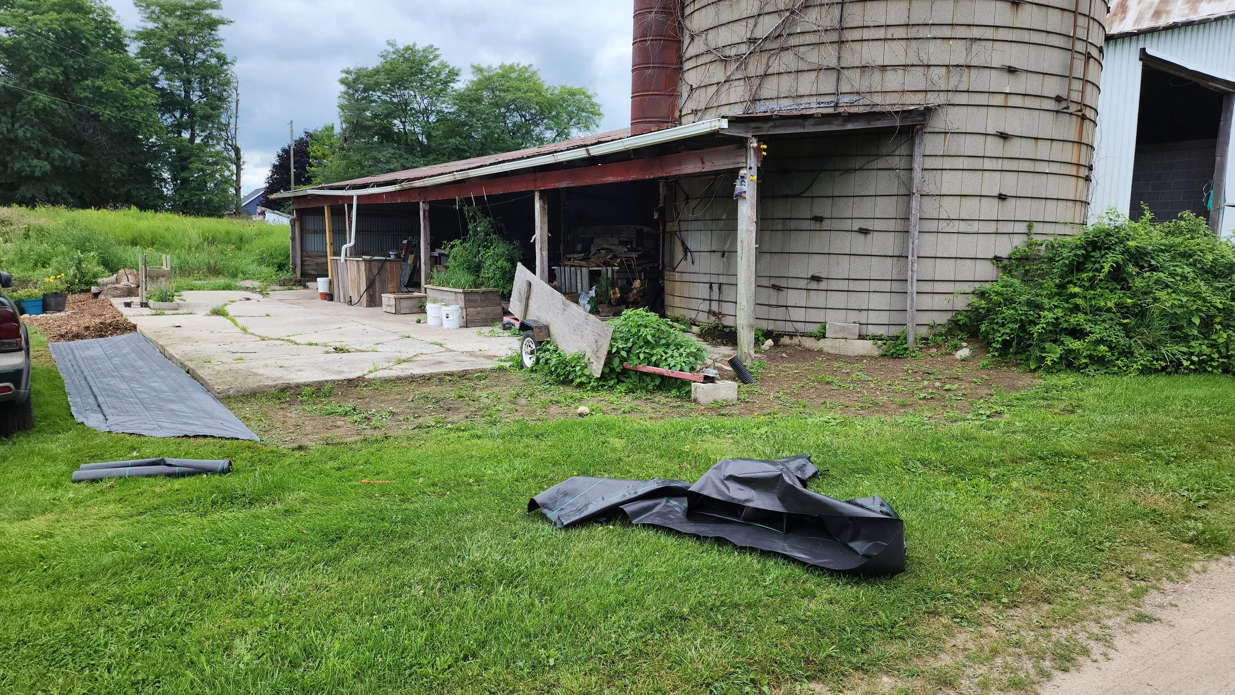 silo before.jpg