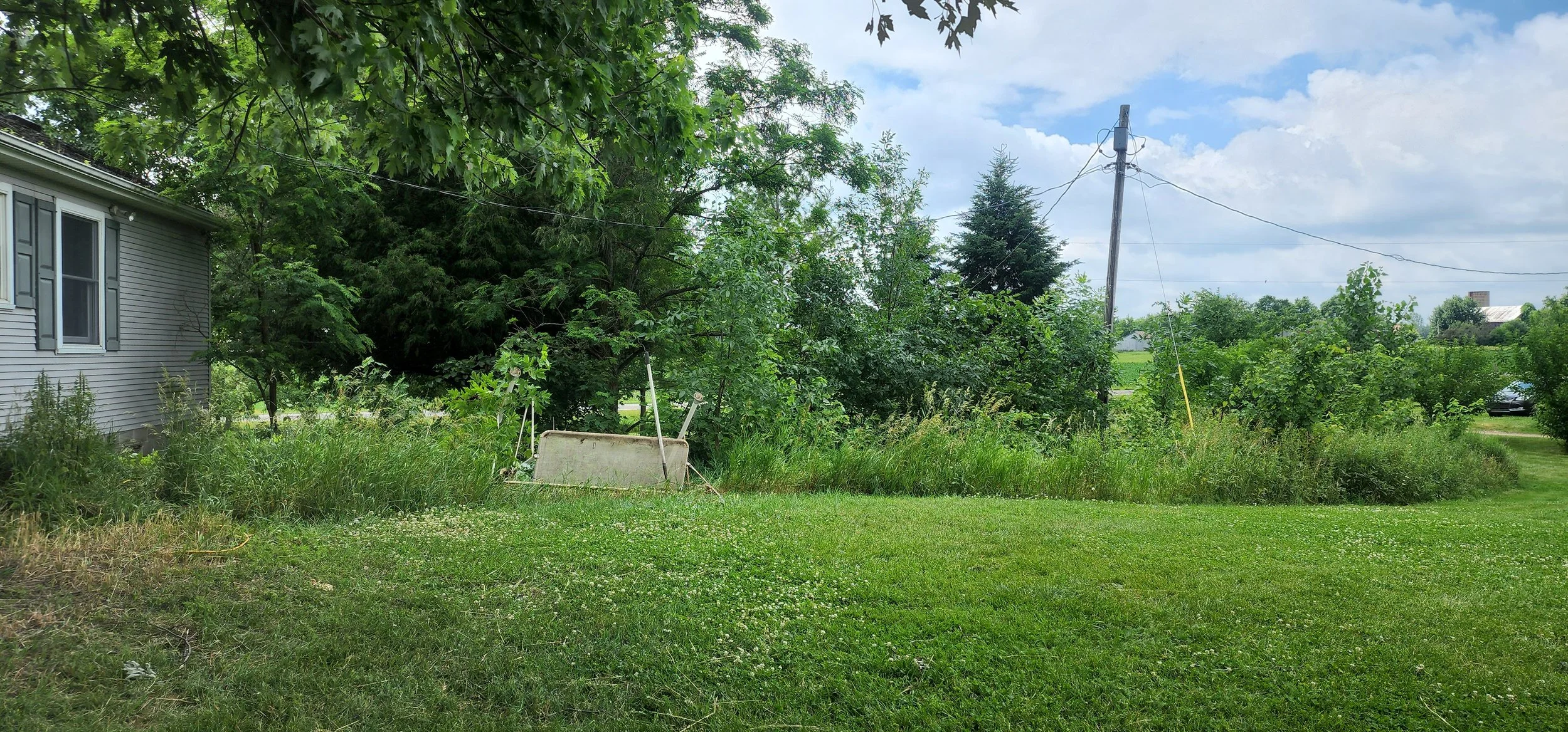 20220705_130146.jpg