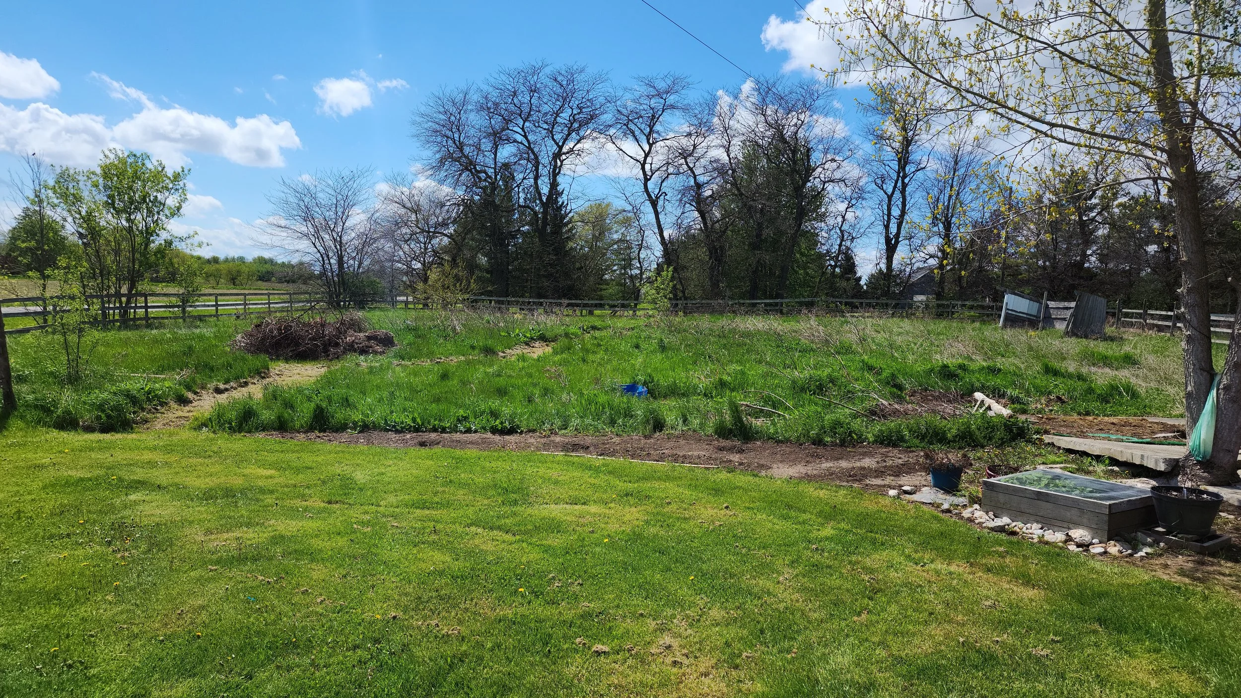 garden before 3.jpg