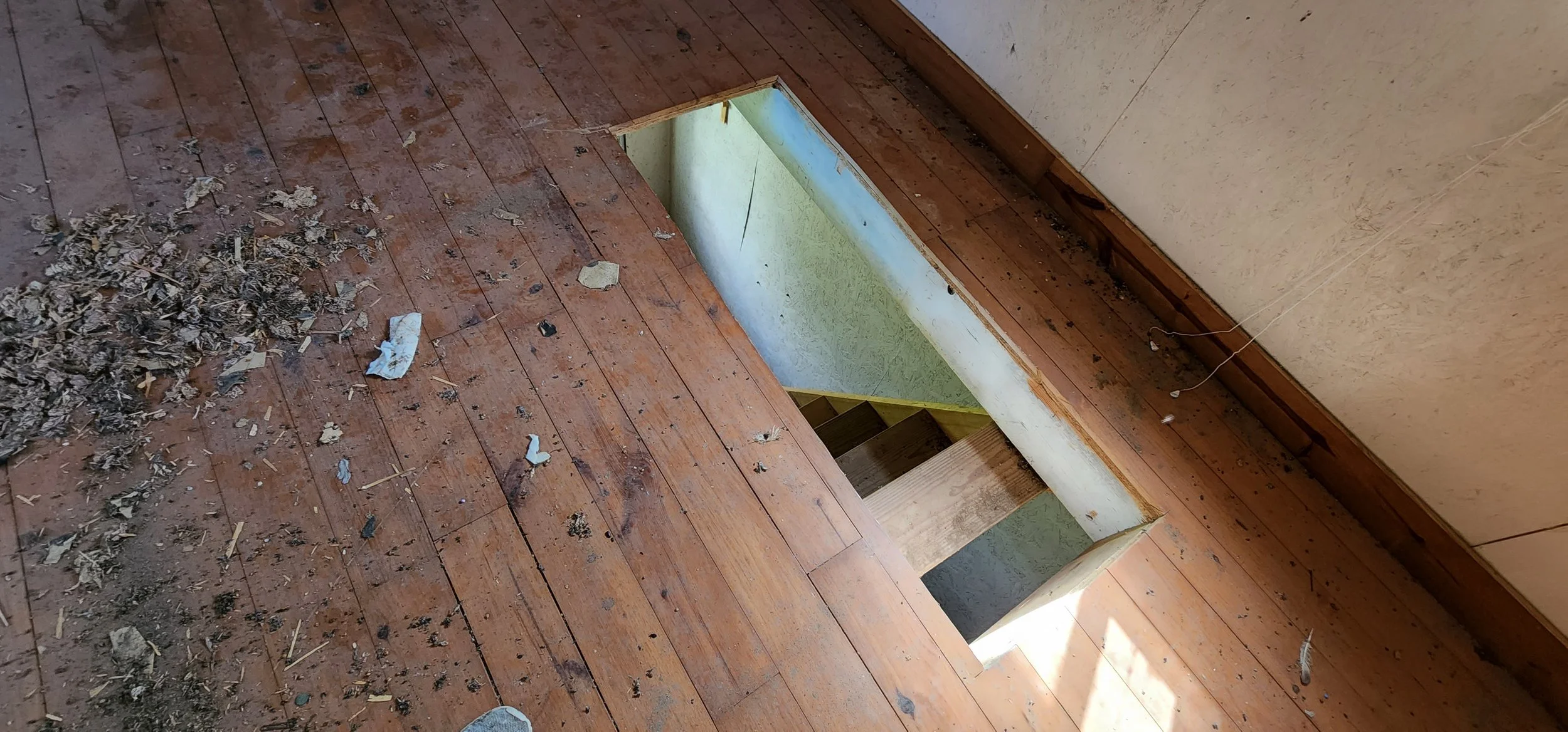 20220629_162049.jpg
