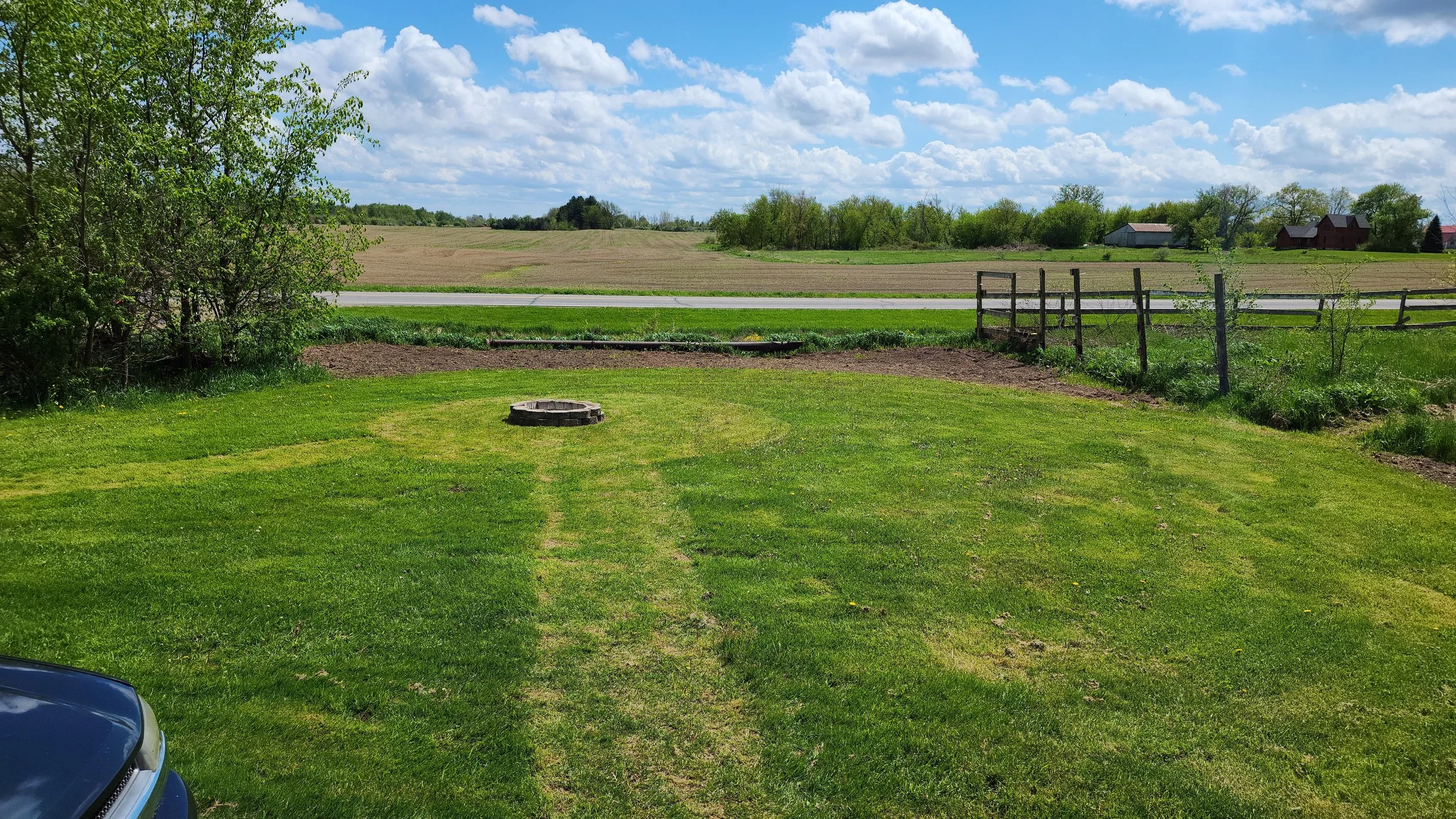 Garden before.jpg