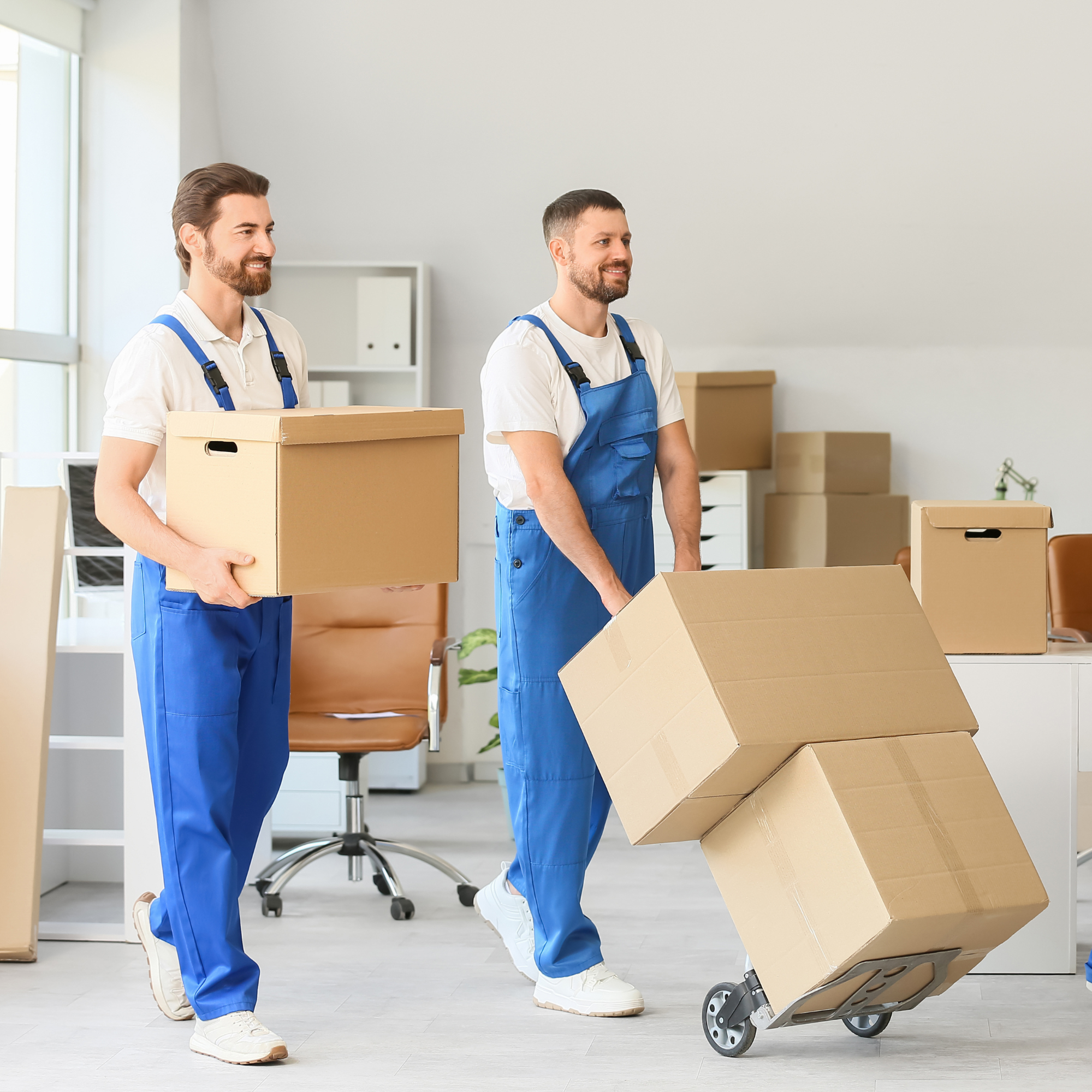 Two movers in blue uniforms transporting cardboard boxes inside an office, one pushing a dolly with boxes and the other carrying a box.