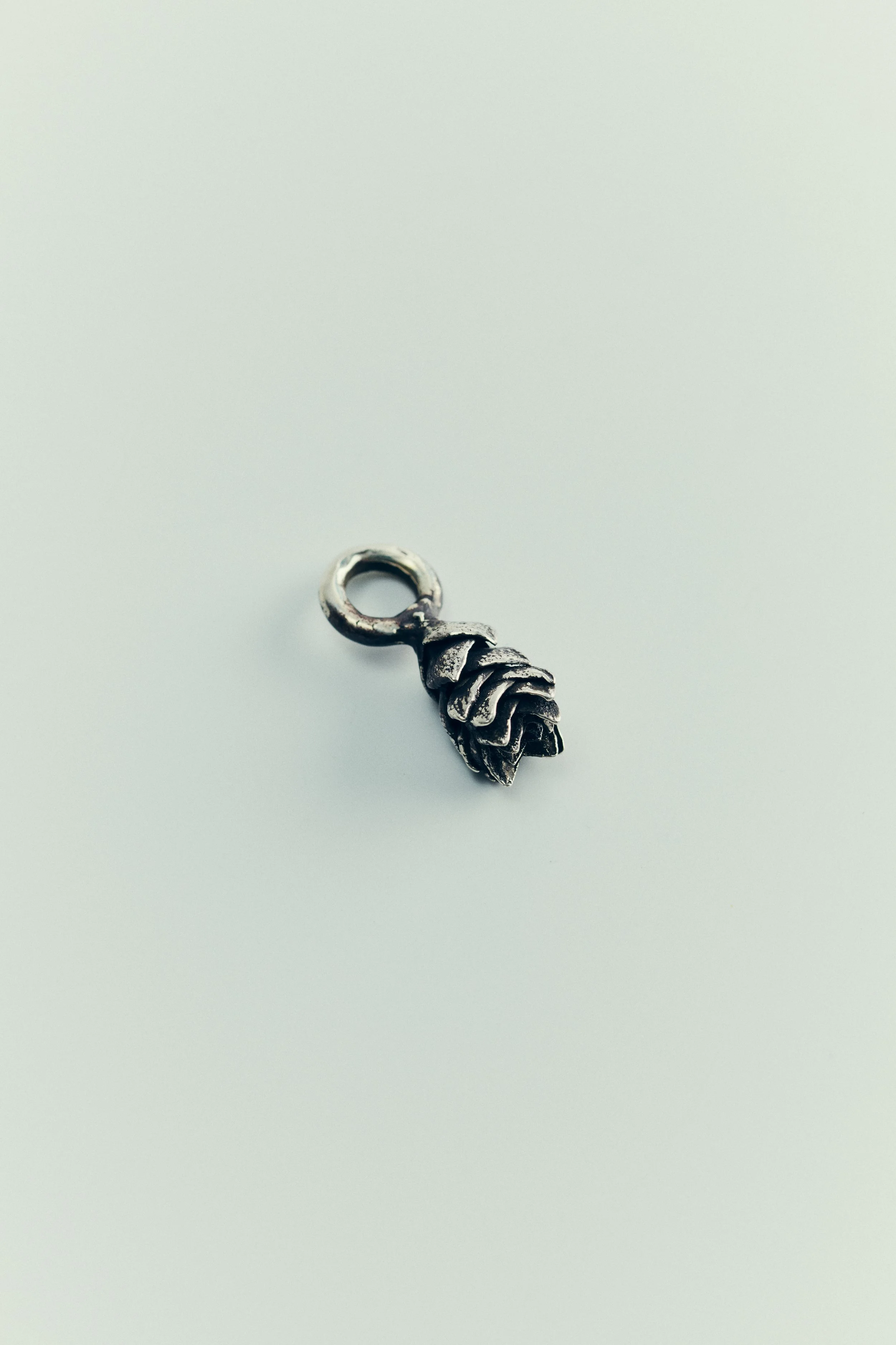 Crassula pendant