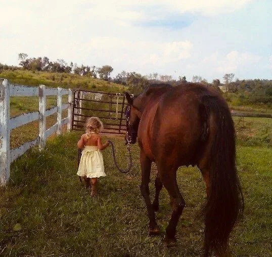 A young girl in a yellow dress holding a lead rope attached to a brown horse, standing on a grassy field next to a white fence and a metal gate, under a partly cloudy sky.