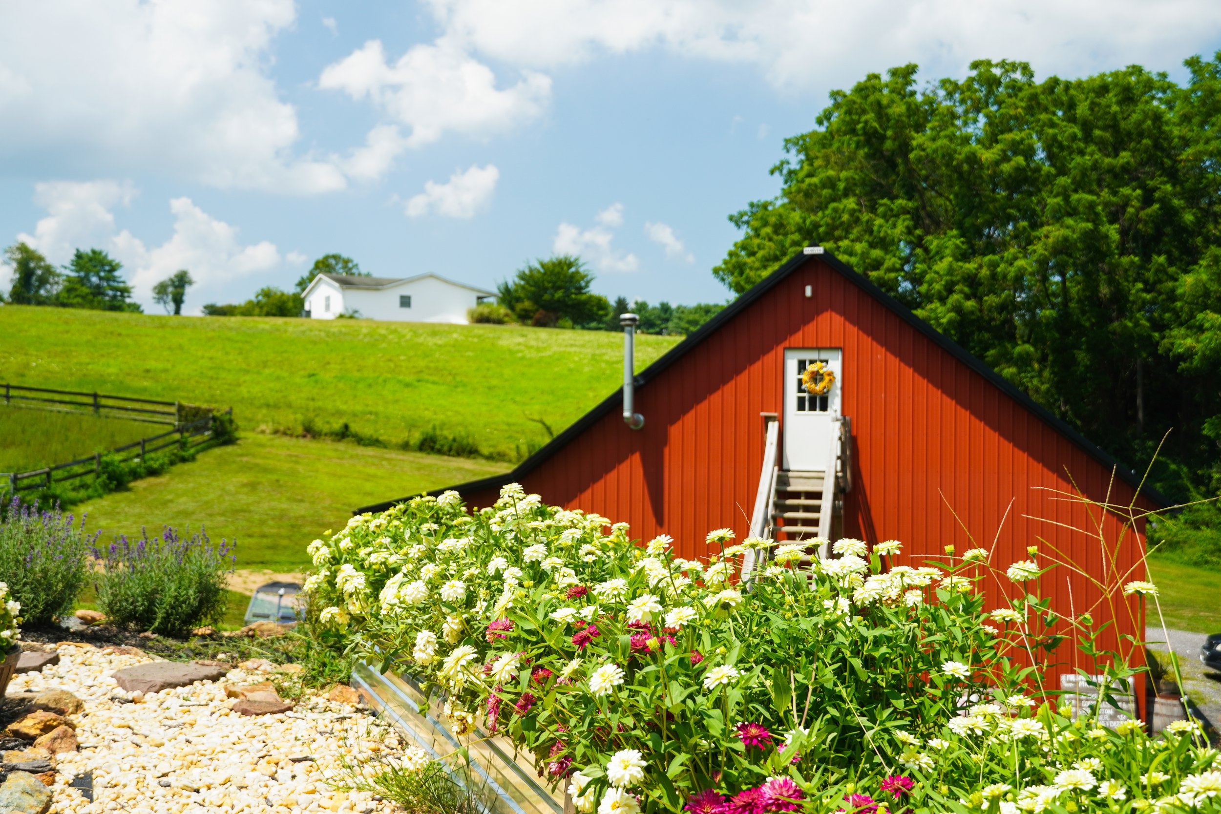 A rural landscape featuring a red barn with a floral wreath on the door, surrounded by a garden with white and pink flowers, green grass, and trees under a partly cloudy sky.