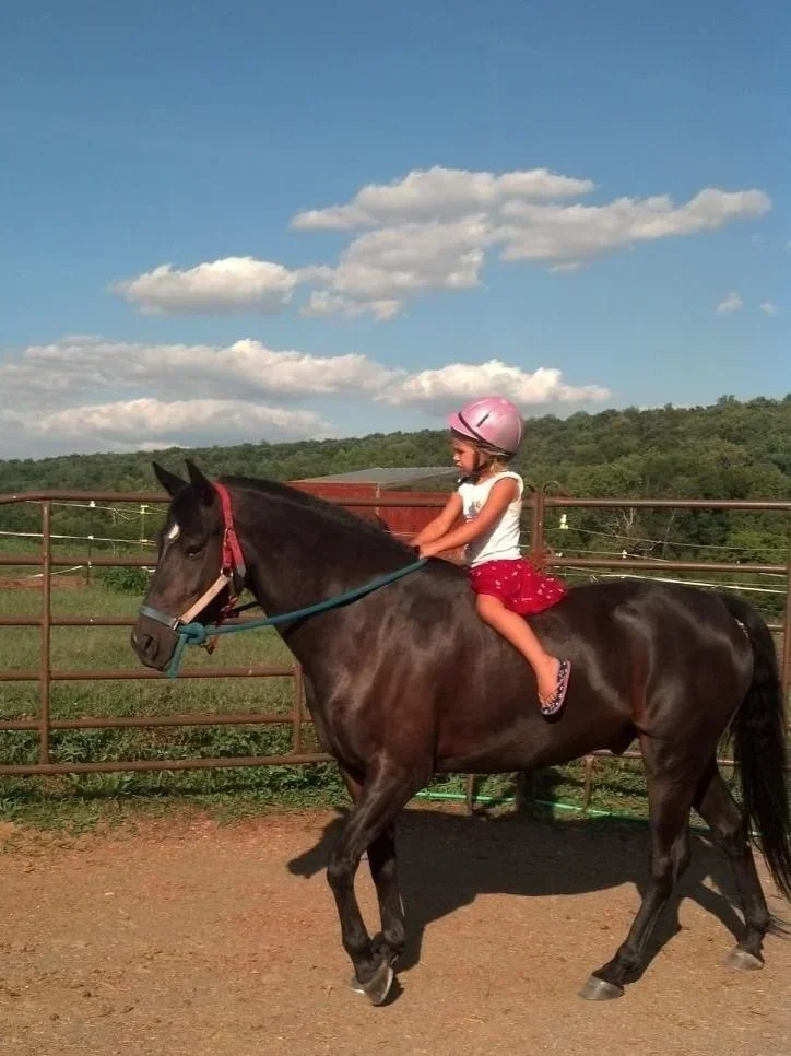 A young girl wearing a pink helmet, white top, and red shorts riding a dark brown horse in an outdoor arena with a metal fence, green hills, and partly cloudy sky in the background.