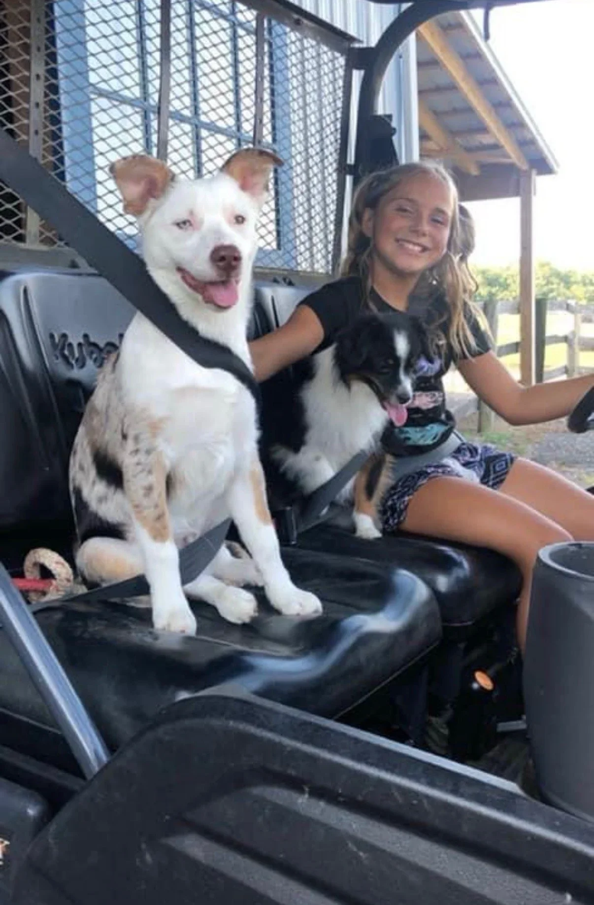 A girl sits on a utility vehicle with two dogs, one sitting in front and one next to her, all smiling outdoors.
