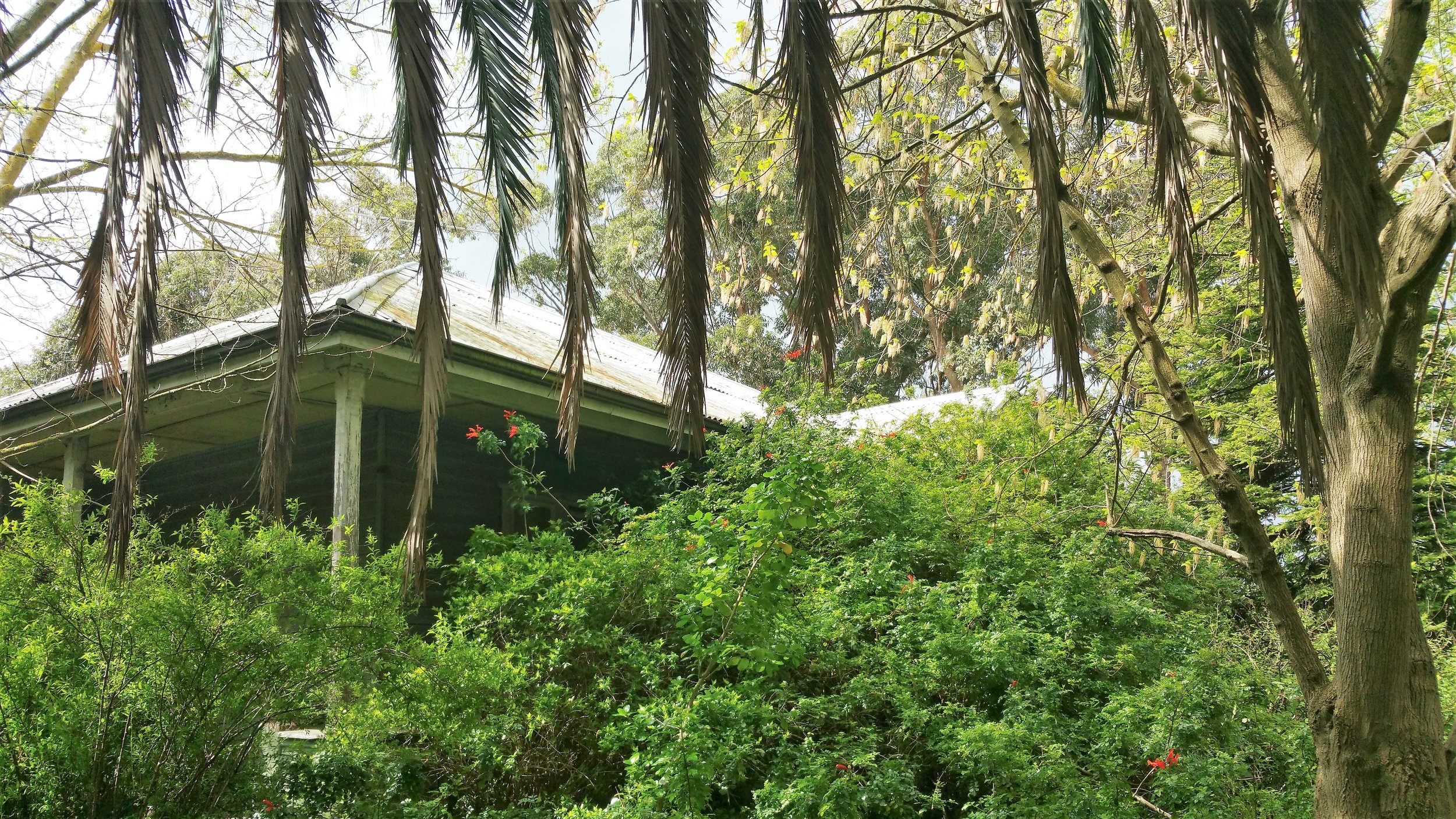 Heritage and redevelopment works in Berwick