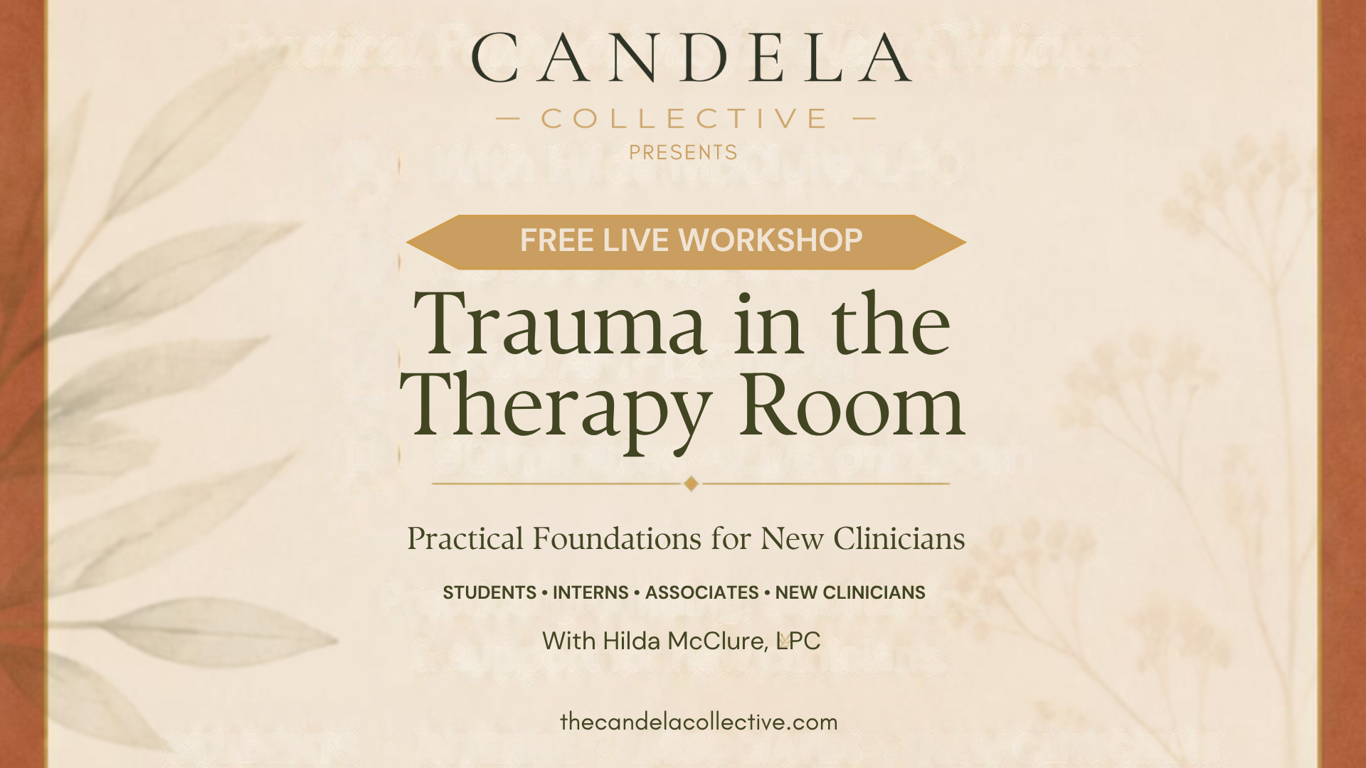 Therapy Room: Practical Foundations for New Clinicians