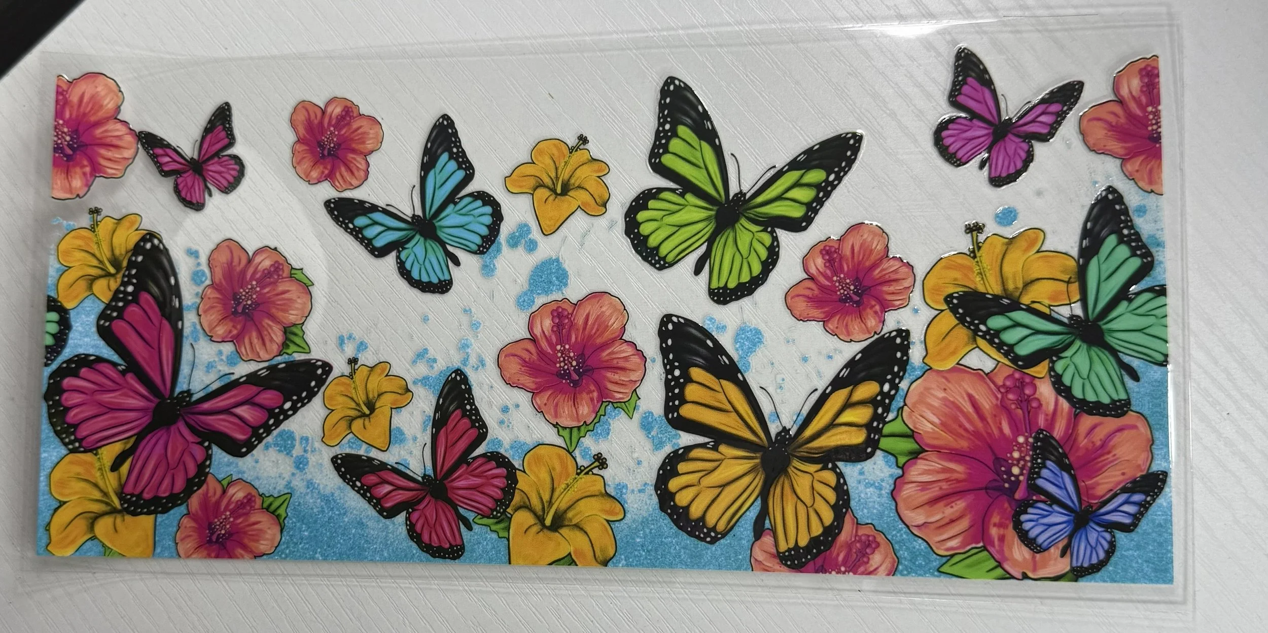 Butterfly Colorful