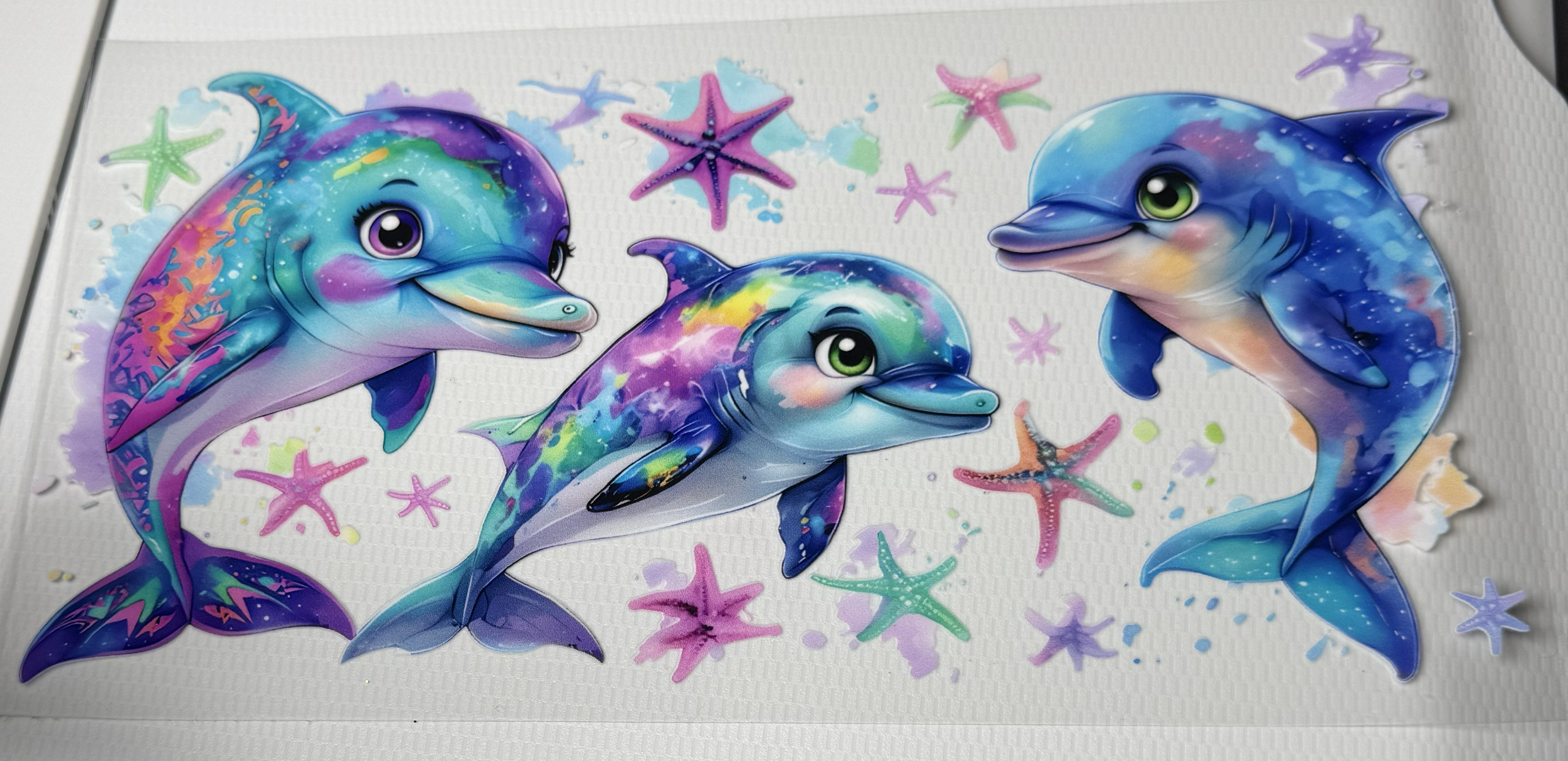 Dolphin 02
