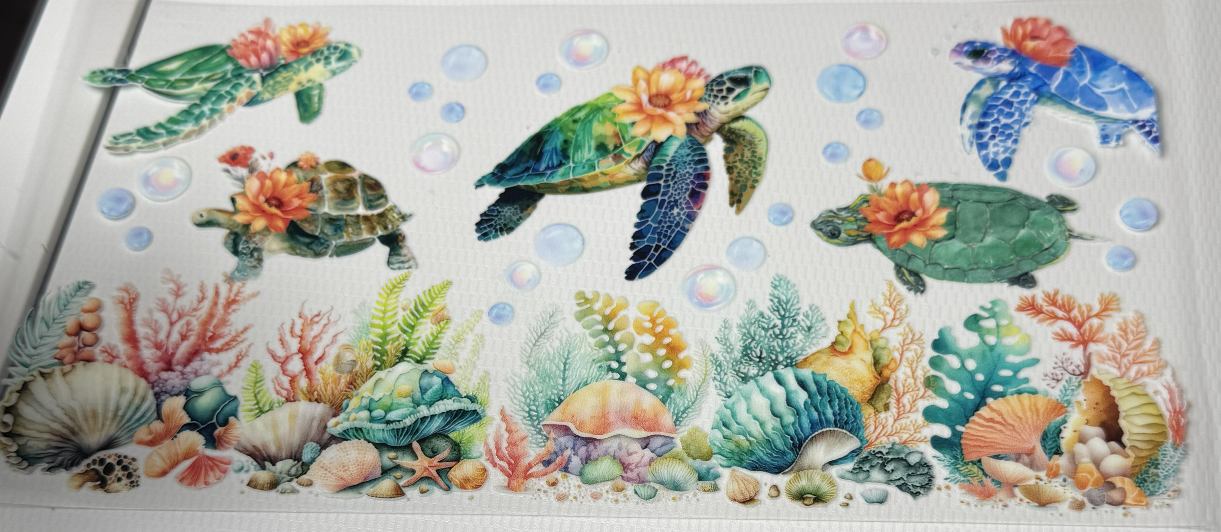 Sea Turtle 02
