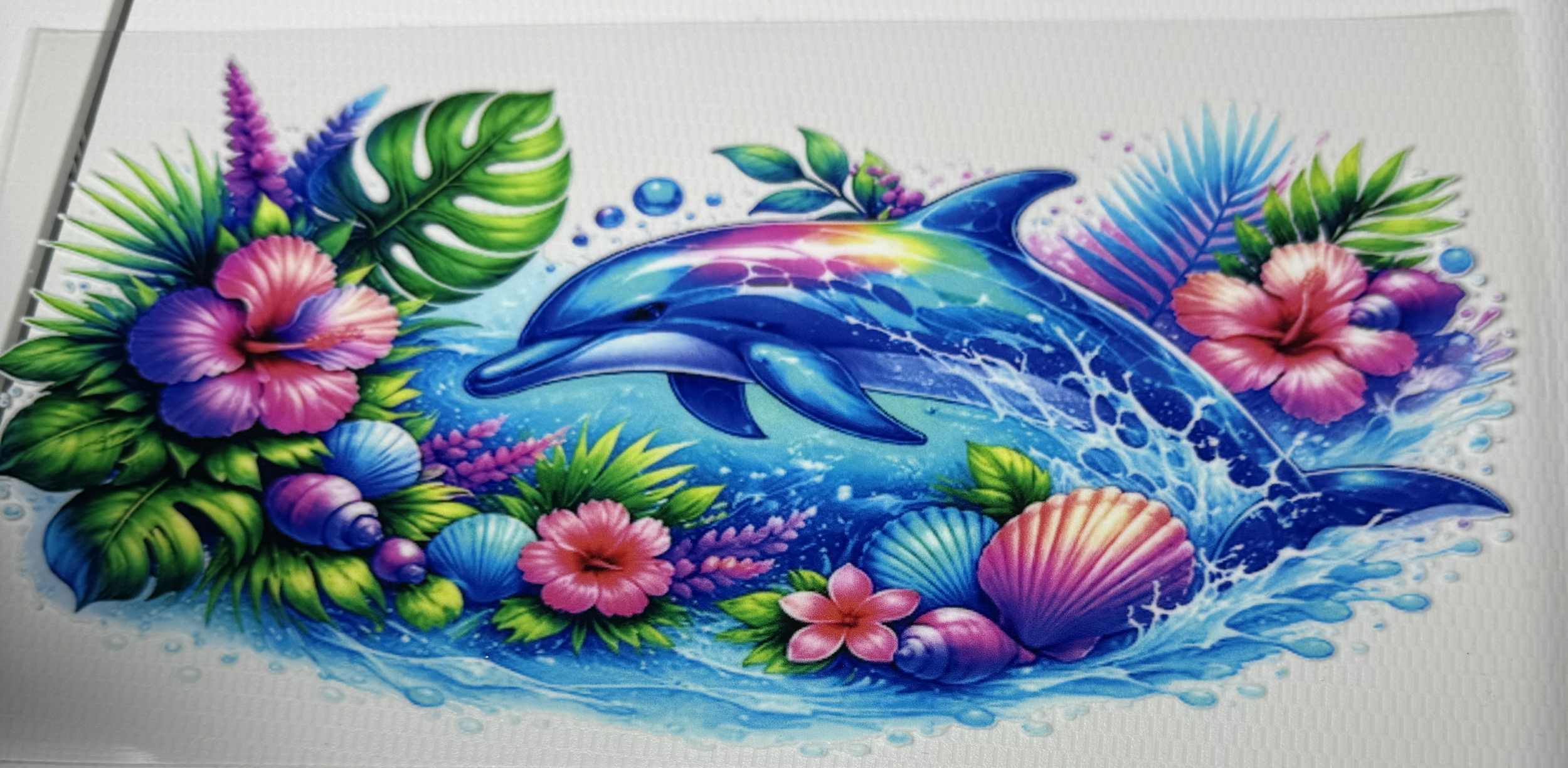 Dolphin 01