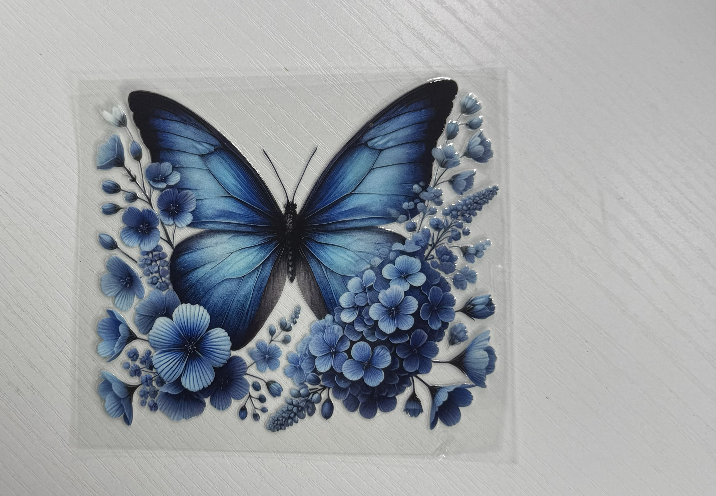 Butterfly Blue Floral