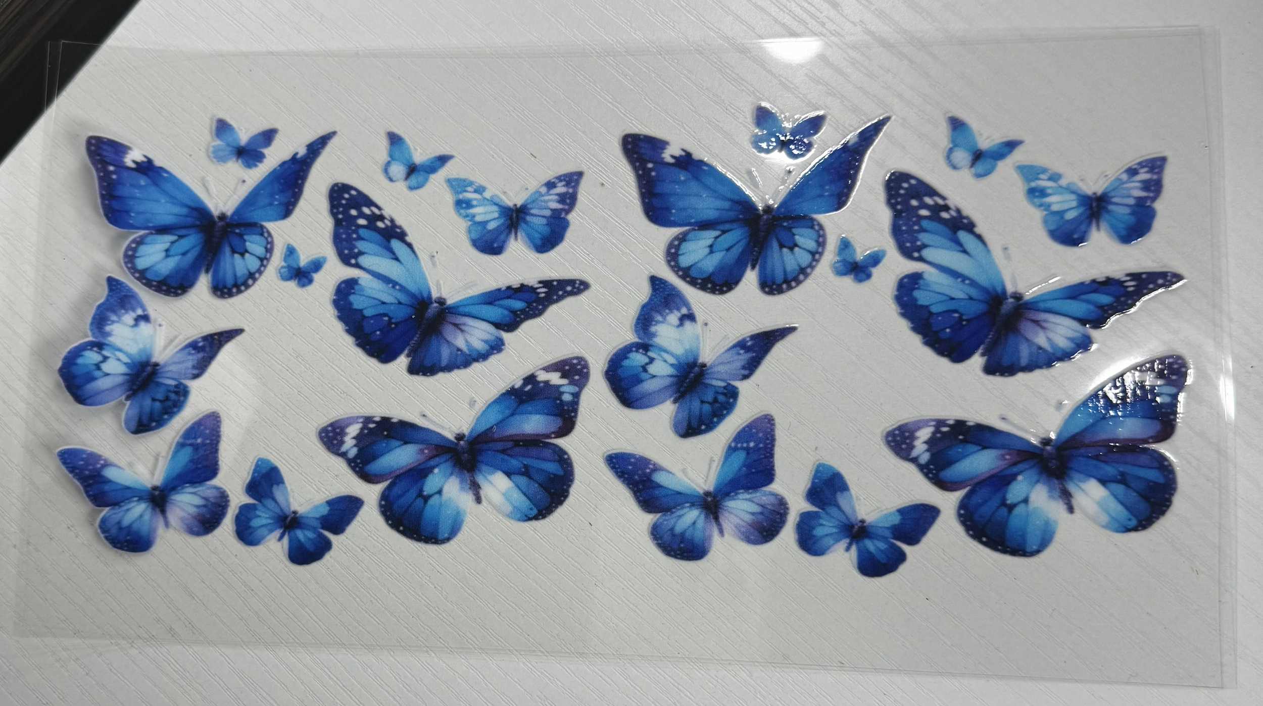 Blue Butterfly