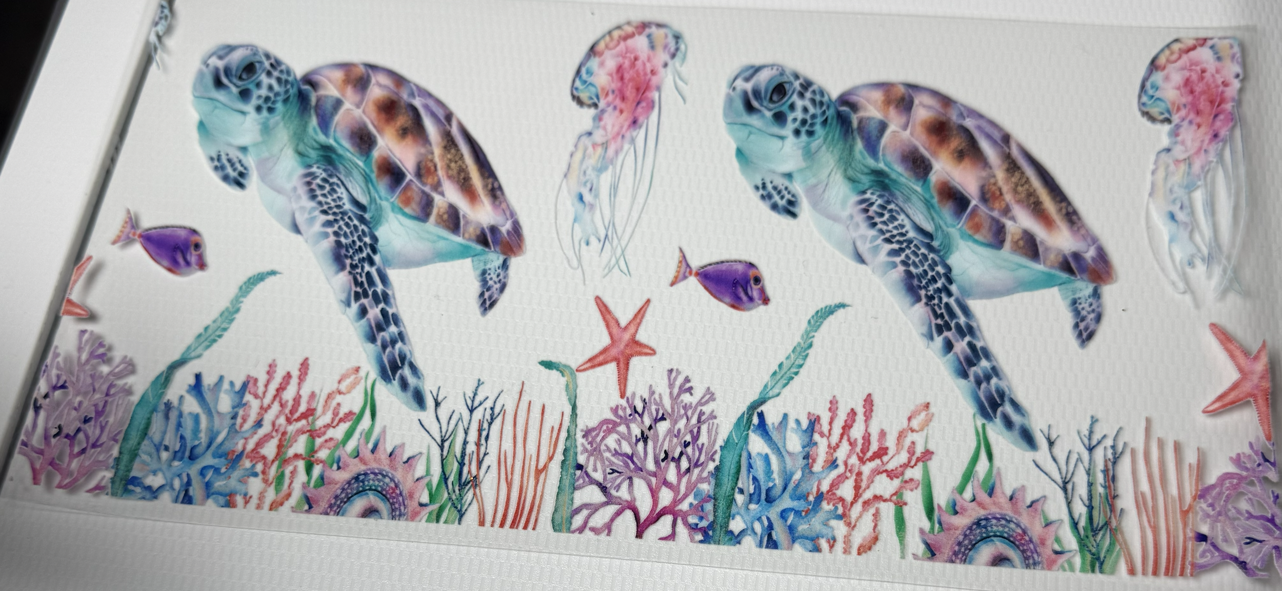 Sea Turtle 01