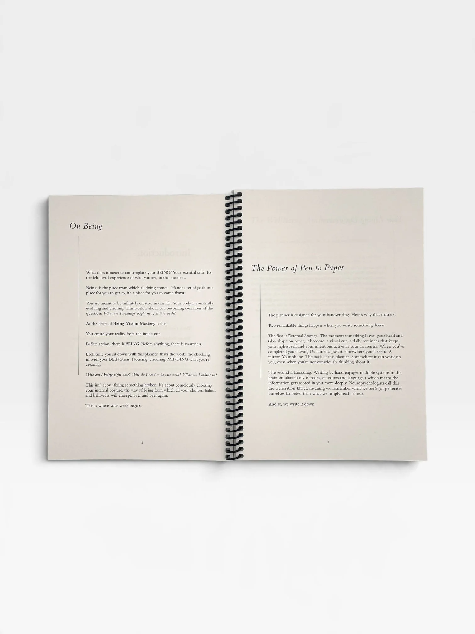 Being Vision Mastery Journal Interior 1.JPEG