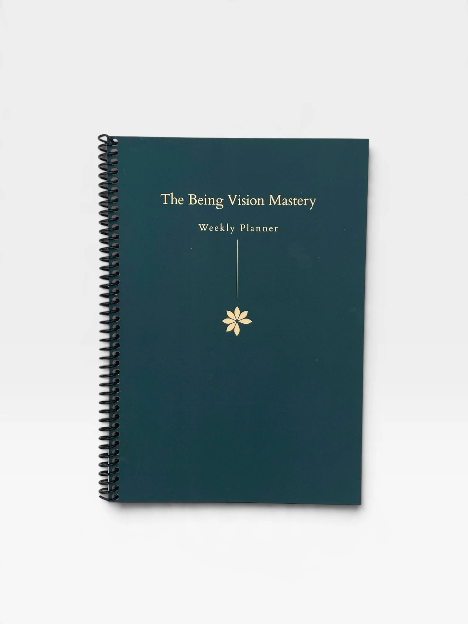 Being Vision Mastery Journal Cover 6.JPEG