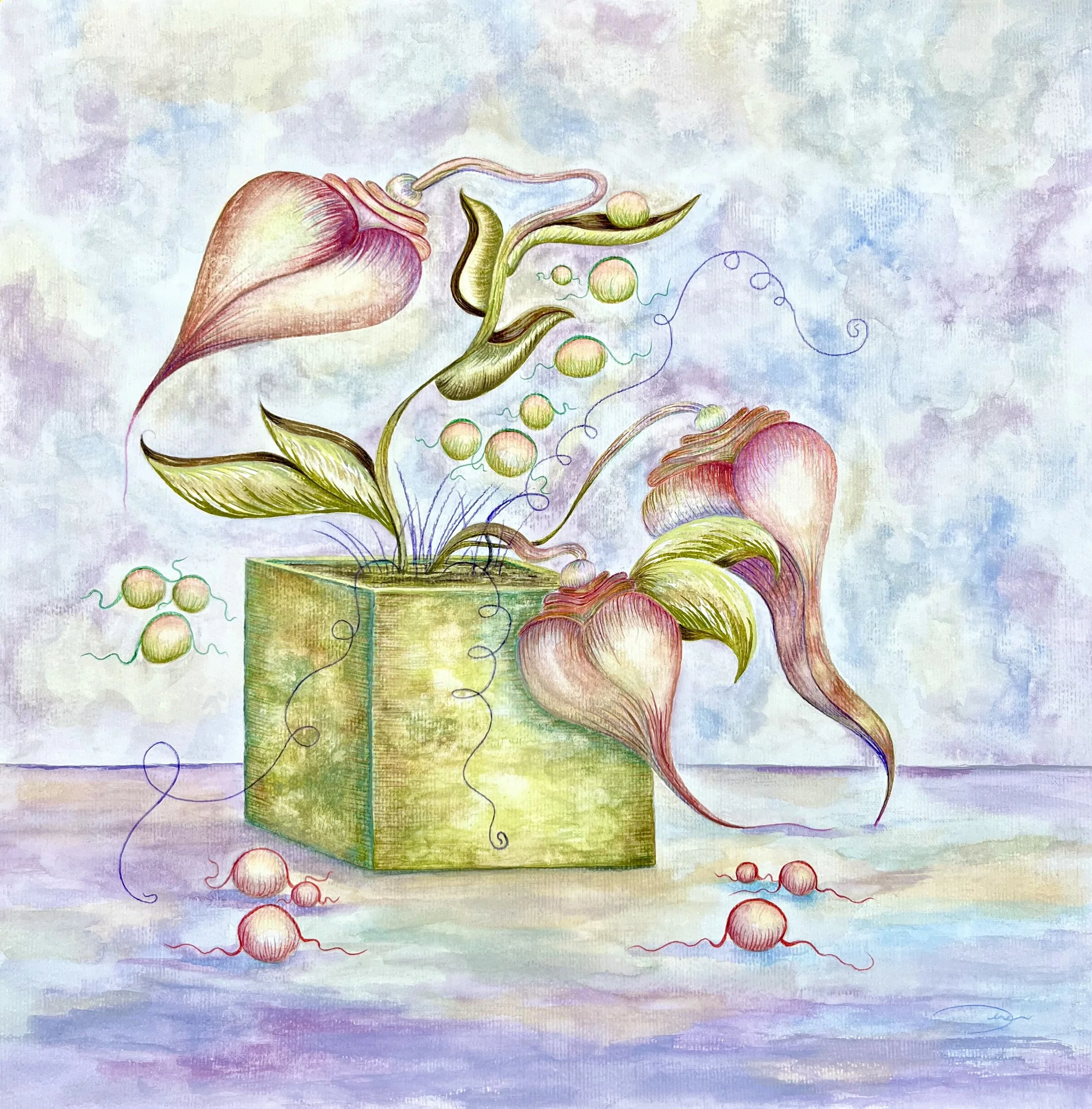 A colorful abstract watercolor of a plant with large pink flowers and green leaves in a green square pot, with floating spheres and thin curly lines surrounding it.