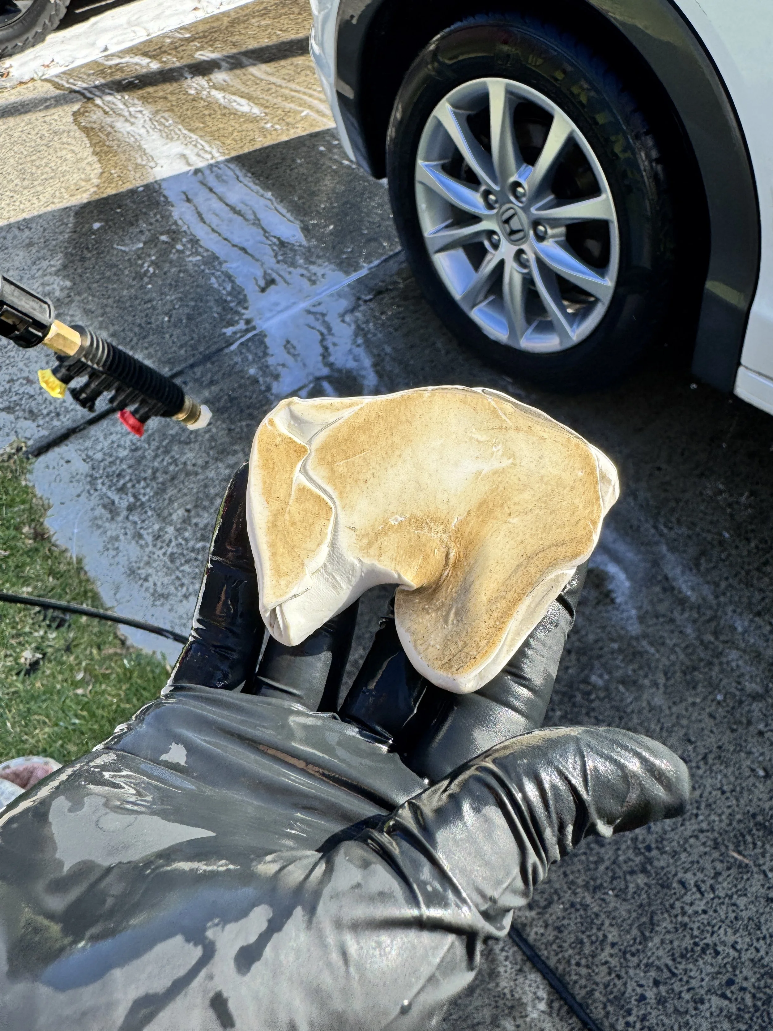 Paint Enhancement & Paint Correction