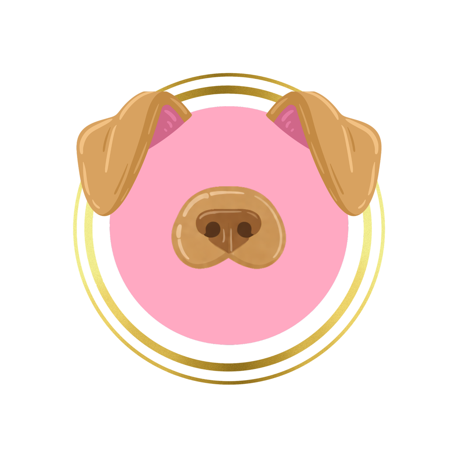 Snout Studio