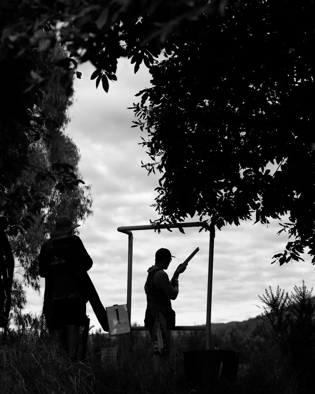rotorua1350px-7398.jpg